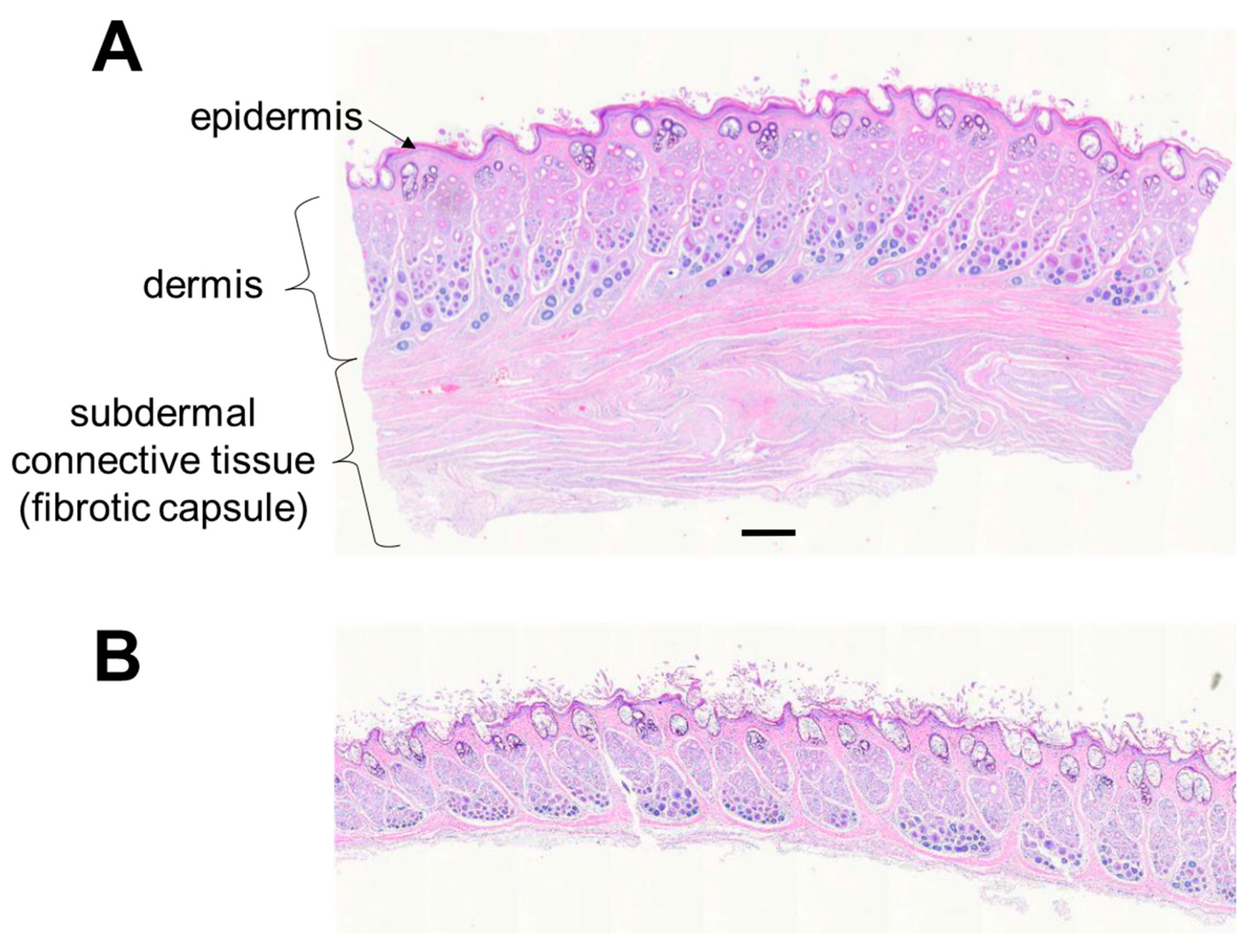 Bioengineering 09 00348 g006 550