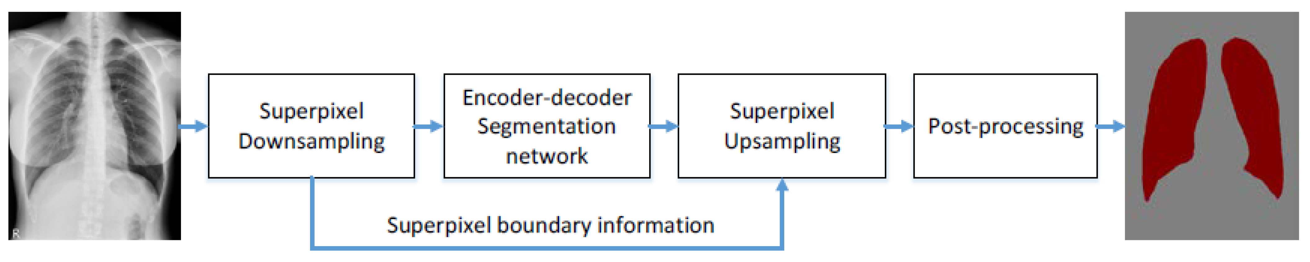 Bioengineering 09 00351 g004 550
