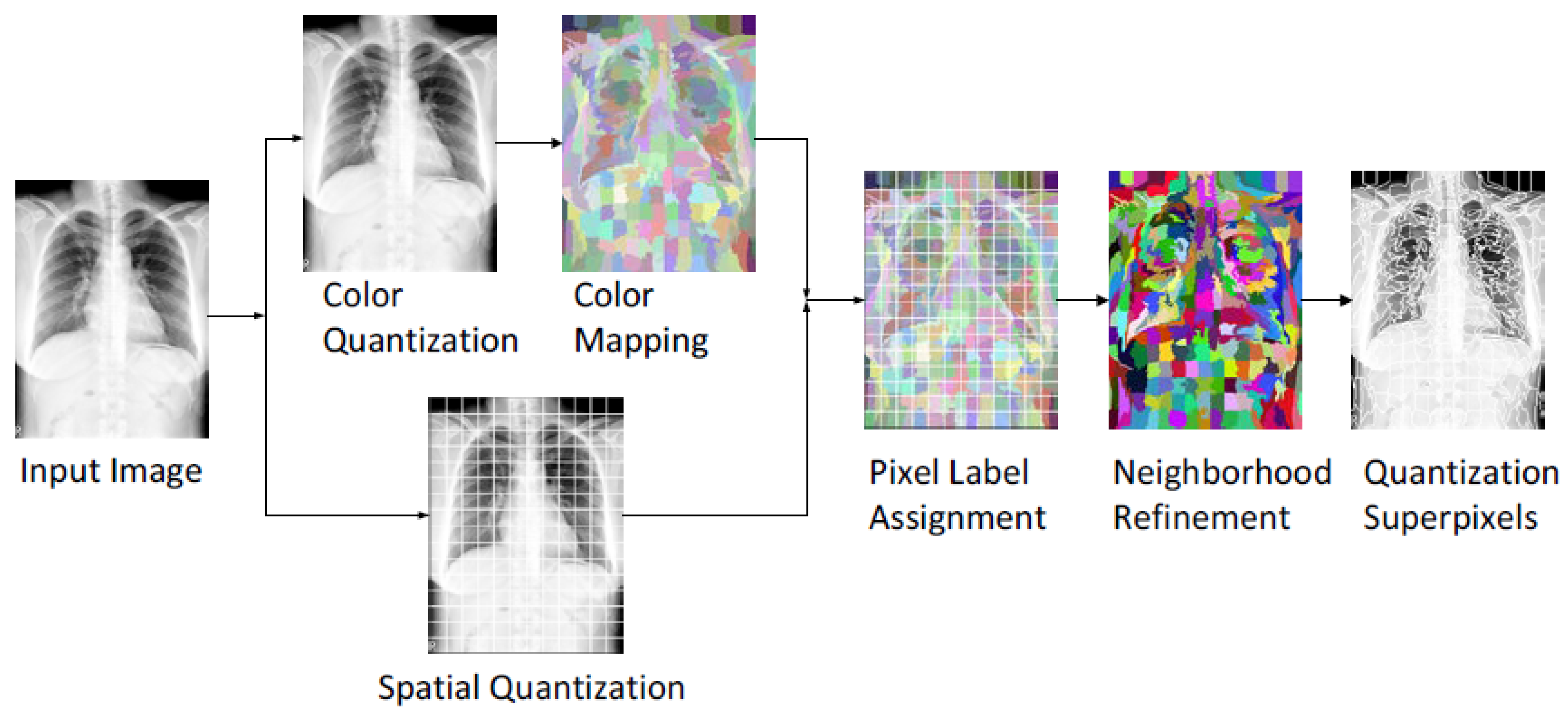 Bioengineering 09 00351 g005 550