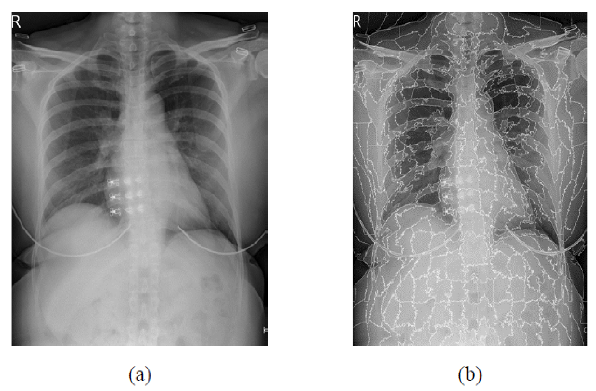 Bioengineering 09 00351 g006 550