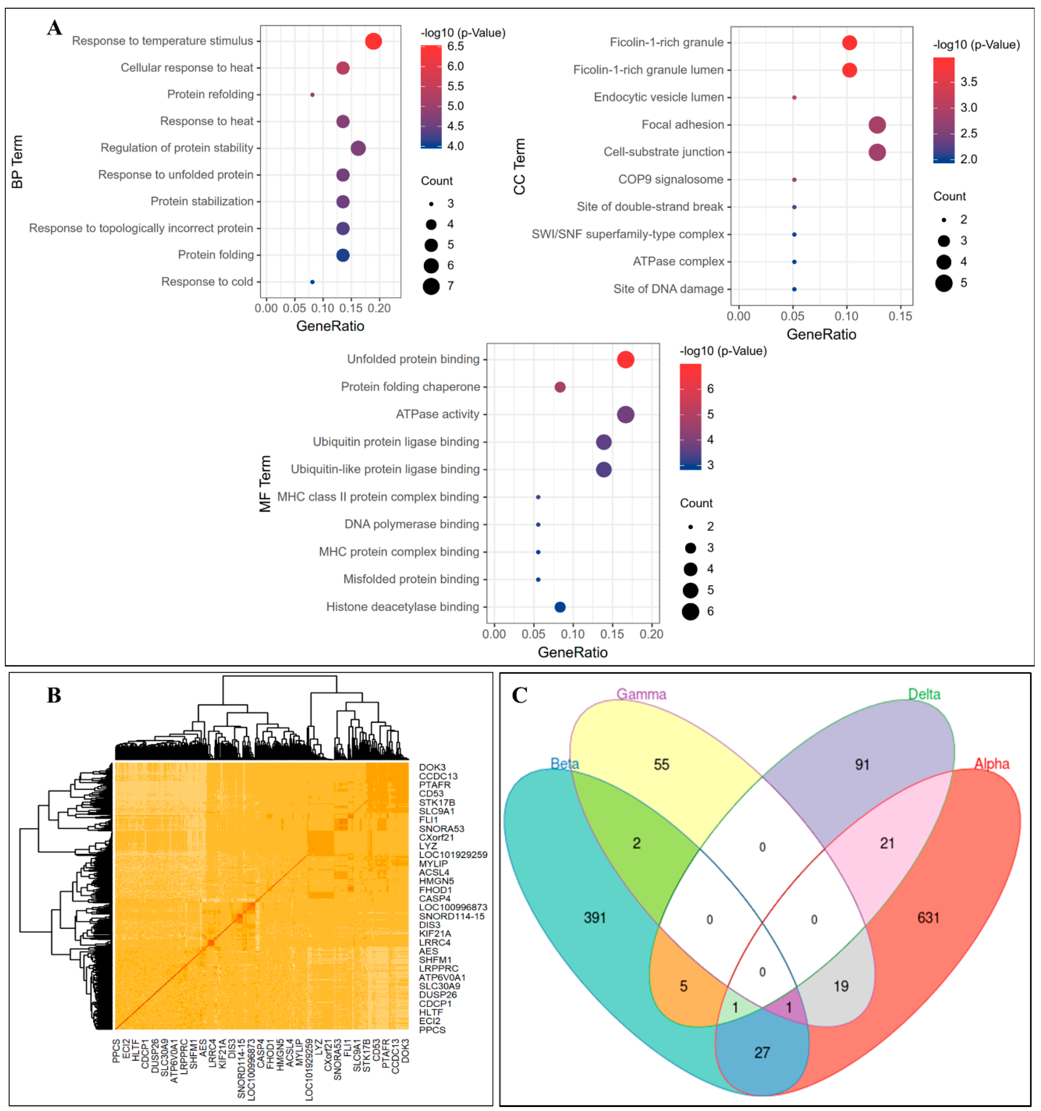 Bioengineering 09 00353 g006