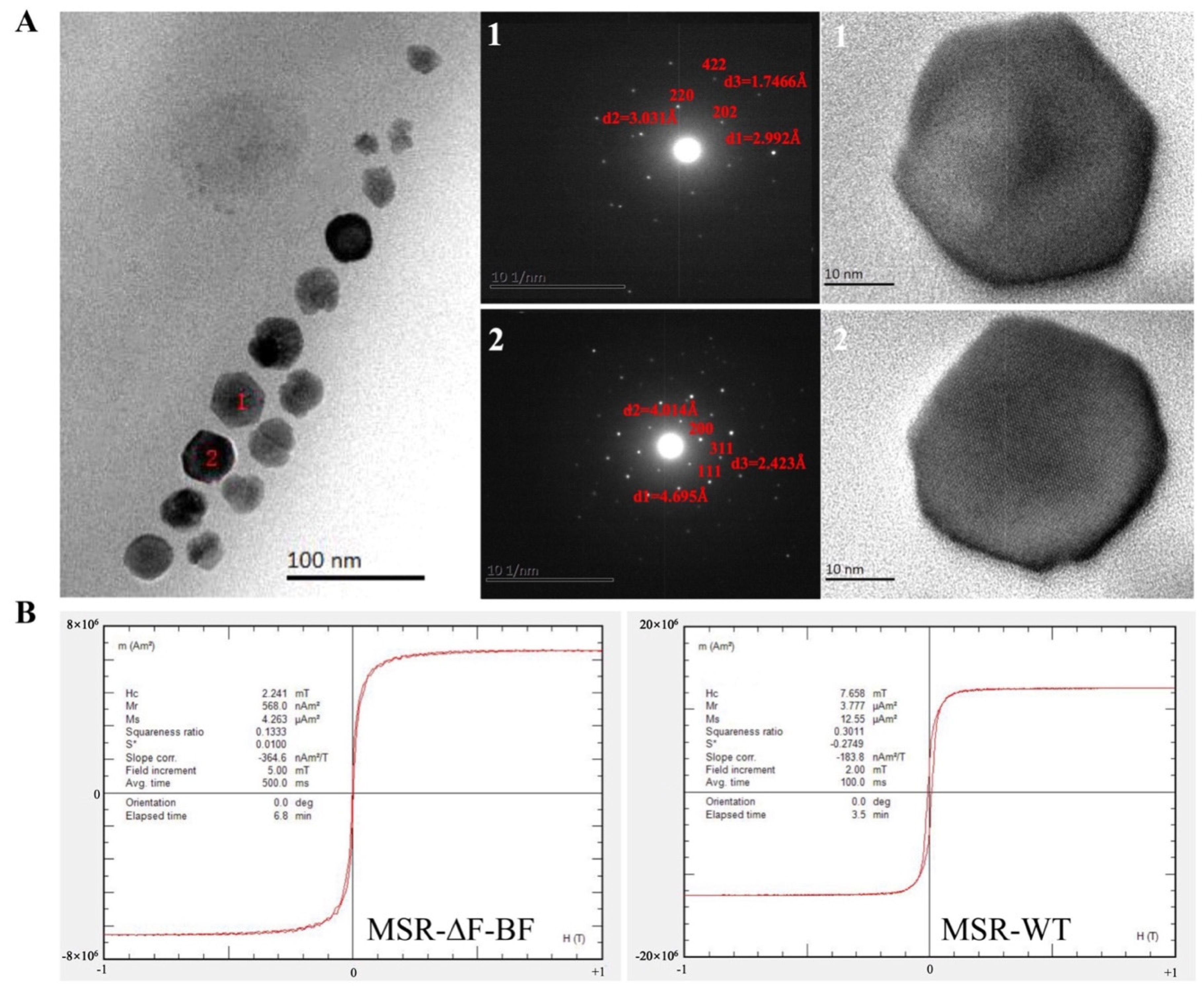 Bioengineering 09 00356 g002 550