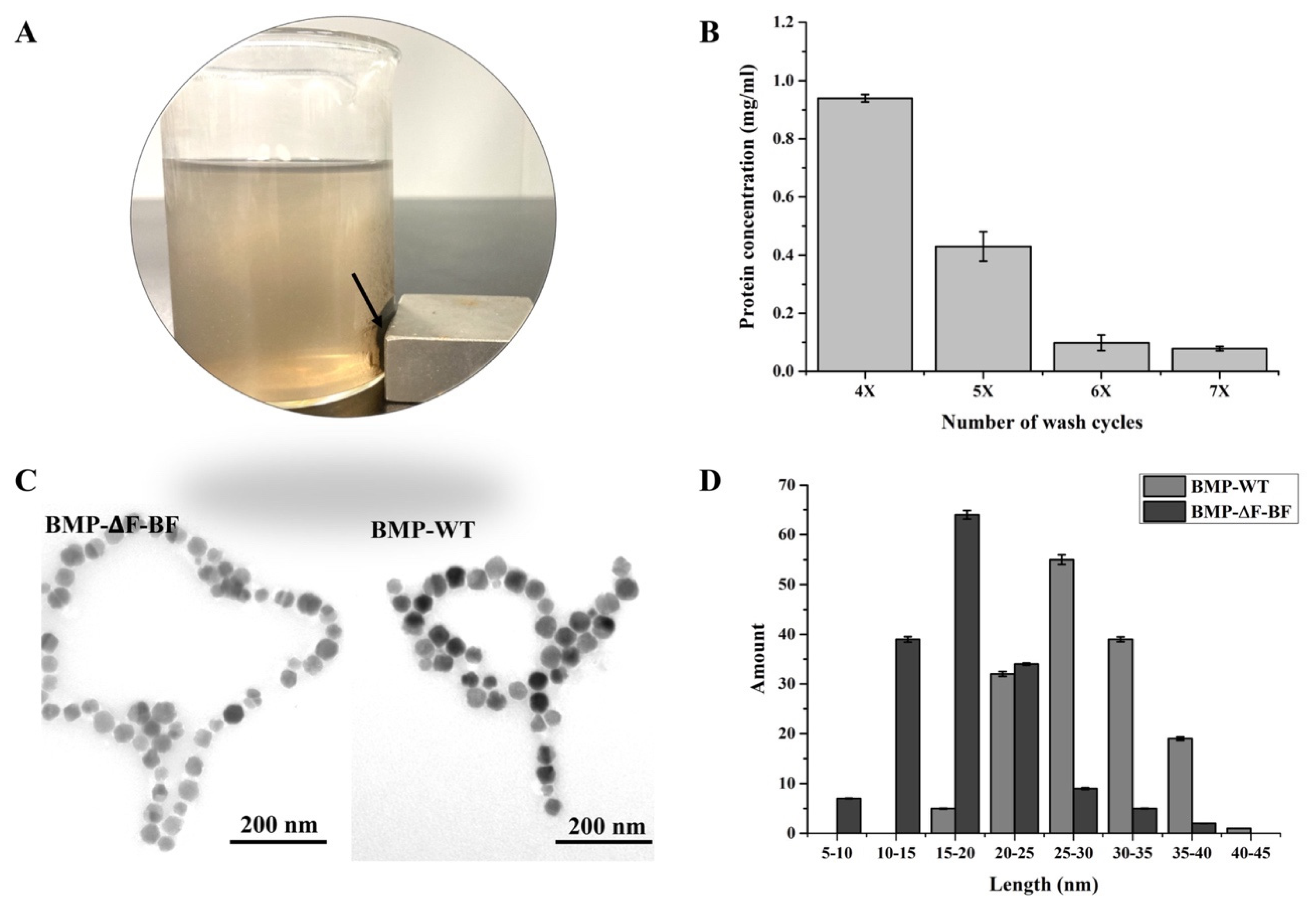 Bioengineering 09 00356 g004 550