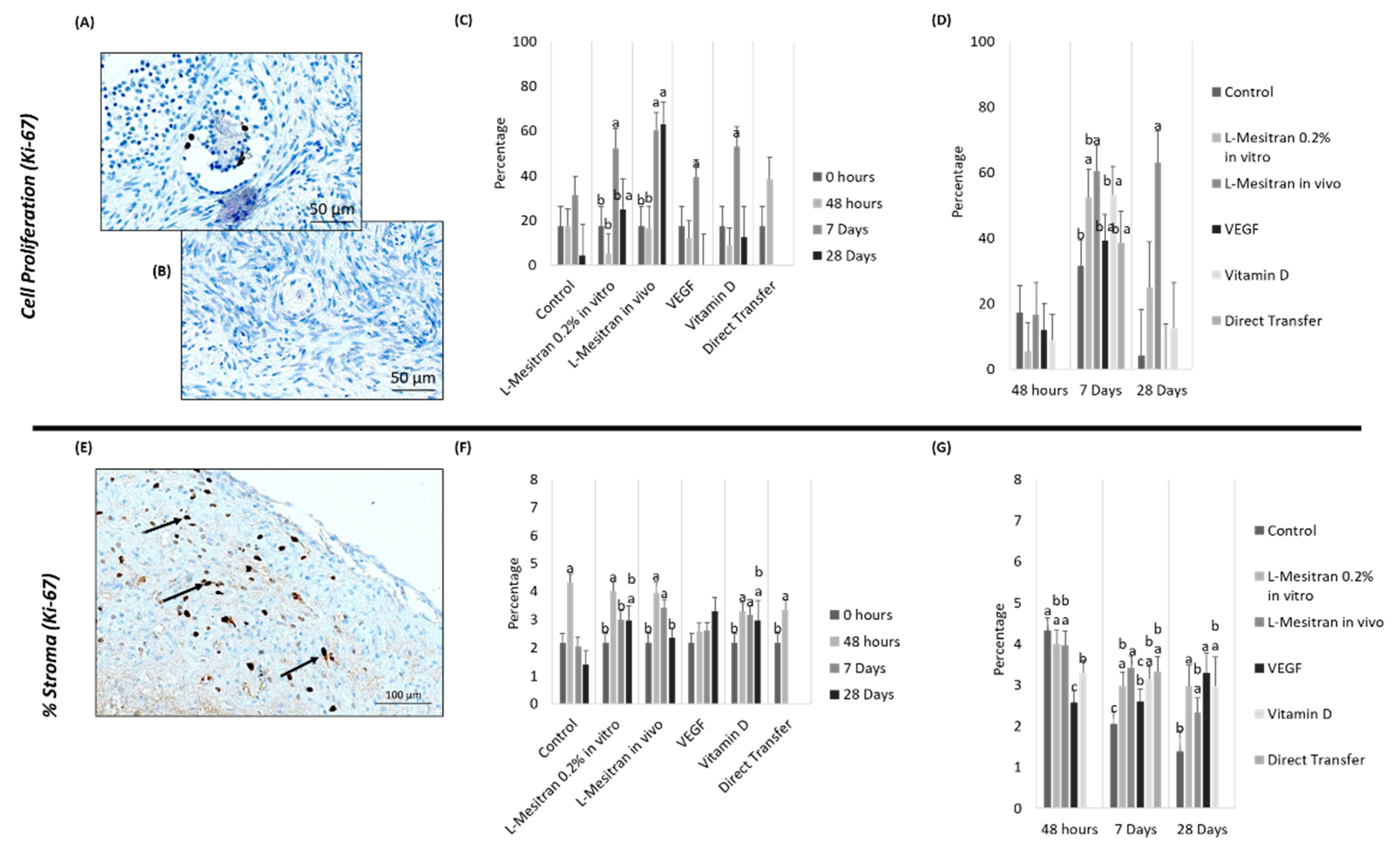 Bioengineering 09 00357 g007
