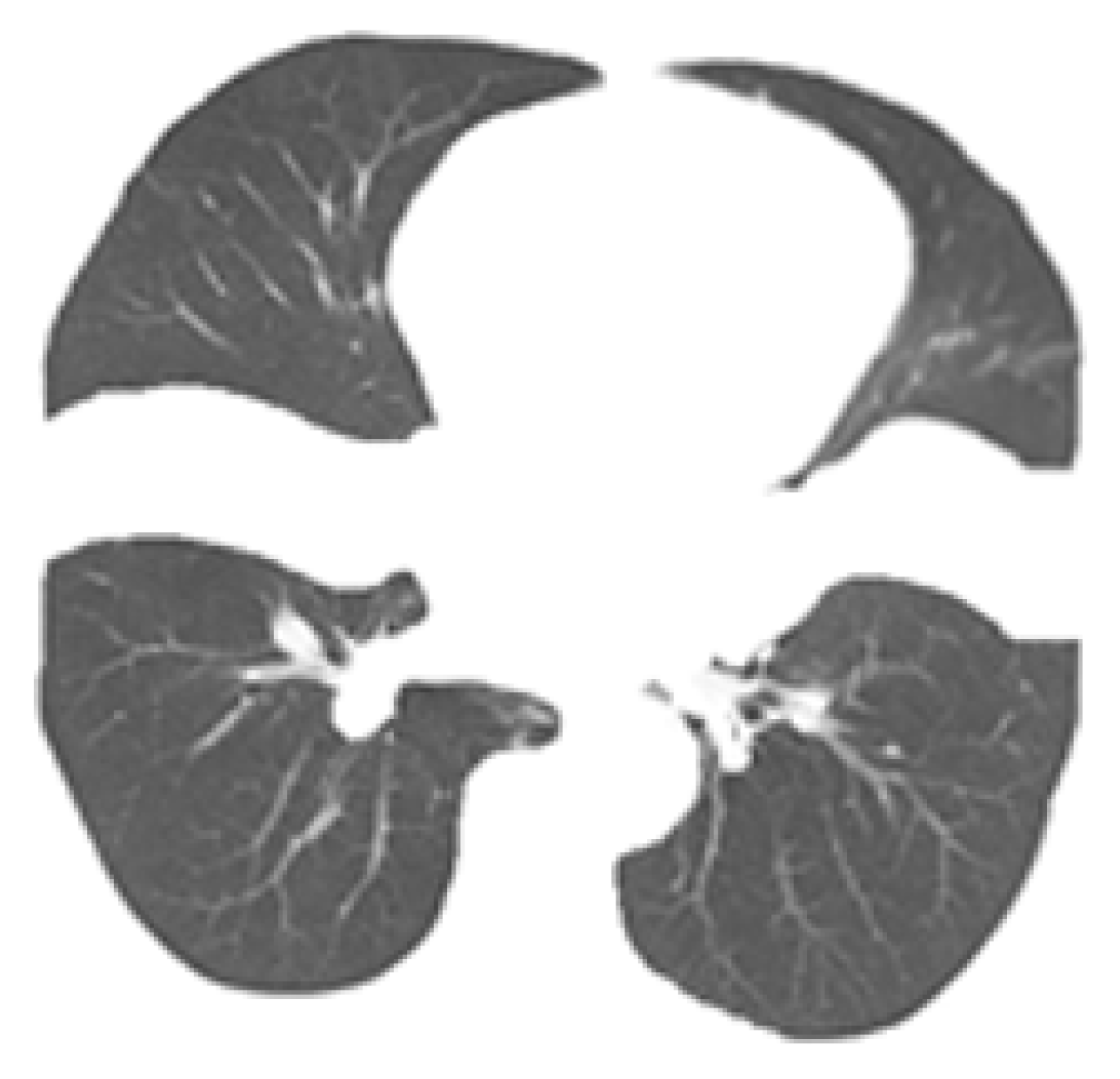 Bioengineering 09 00359 g005 550