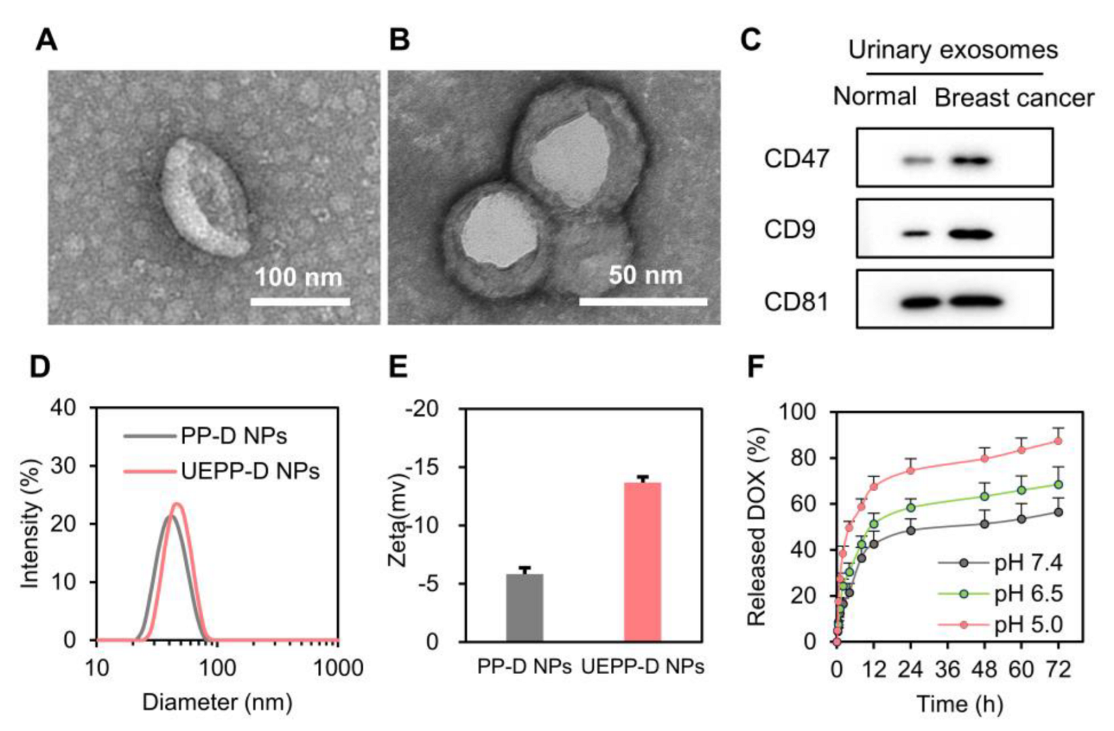 Bioengineering 09 00363 g001