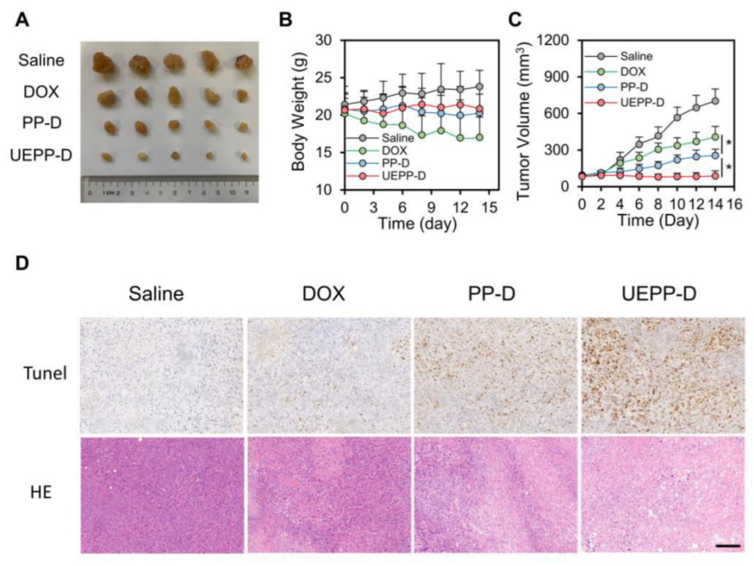Bioengineering 09 00363 g005