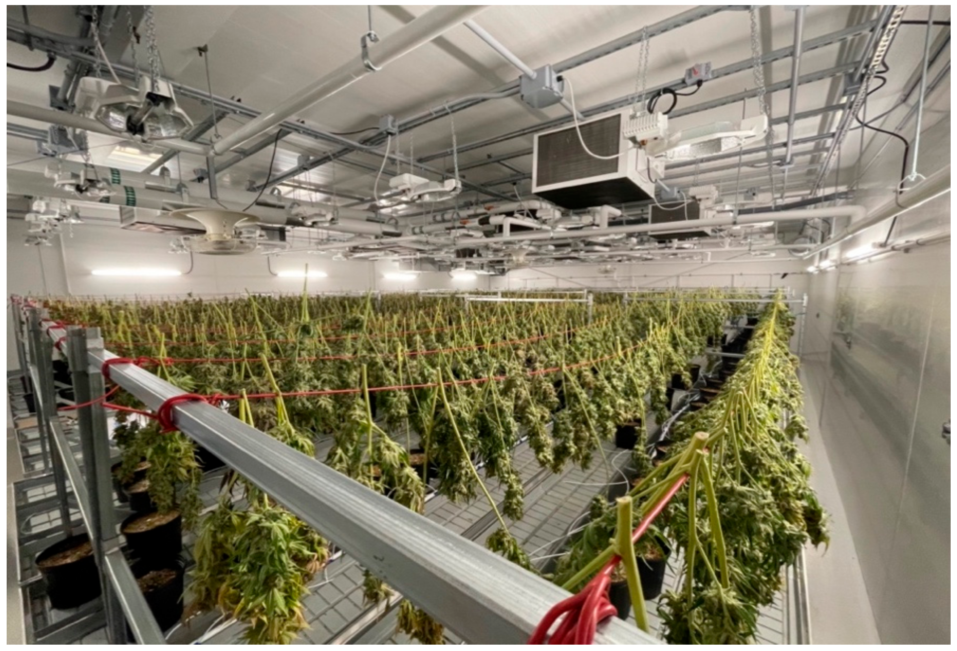 Bioengineering 09 00364 g004 550