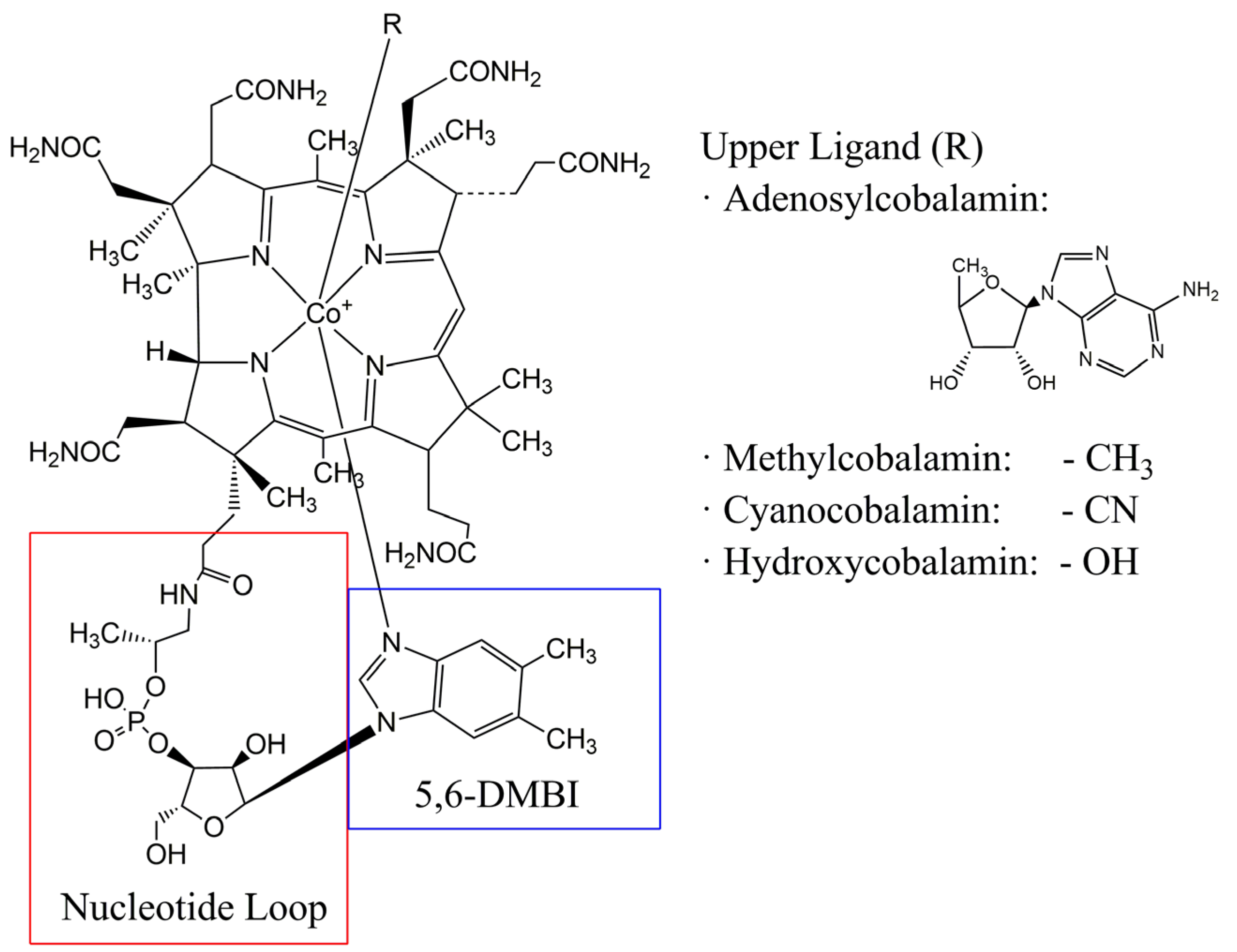 Bioengineering 09 00365 g001 Bioengineering 09 00365 g001