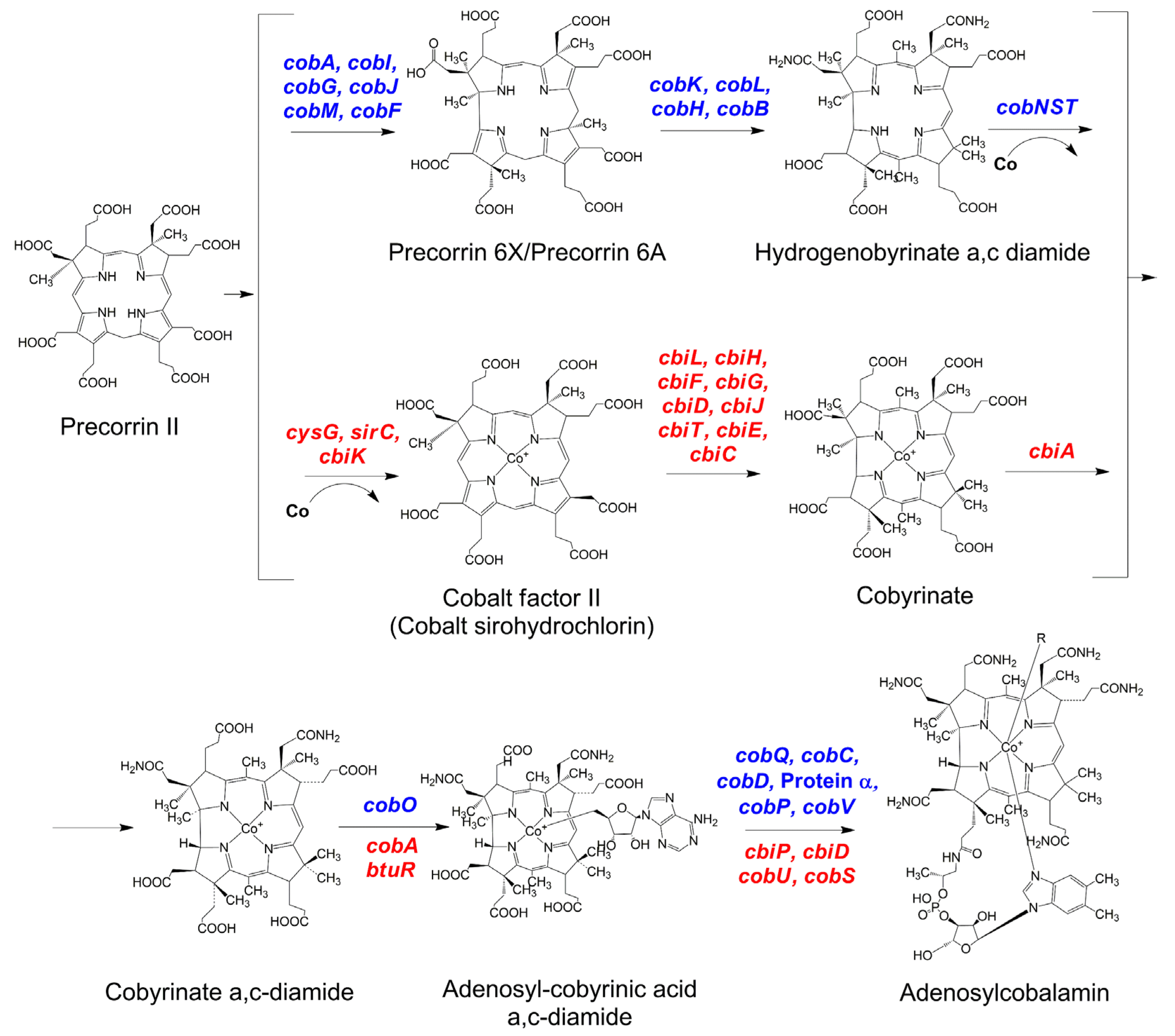 Bioengineering 09 00365 g002 Bioengineering 09 00365 g002