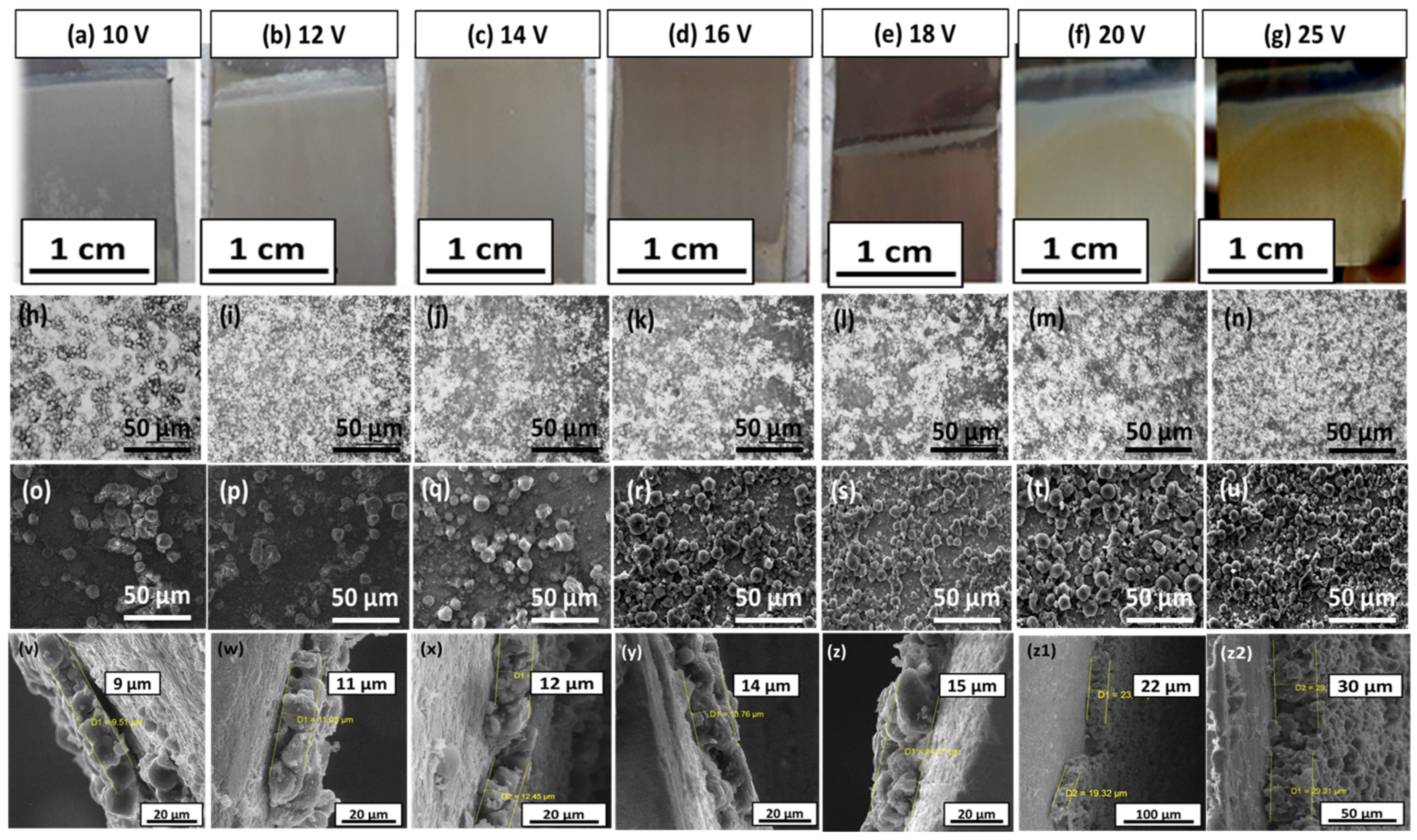 Bioengineering 09 00367 g002