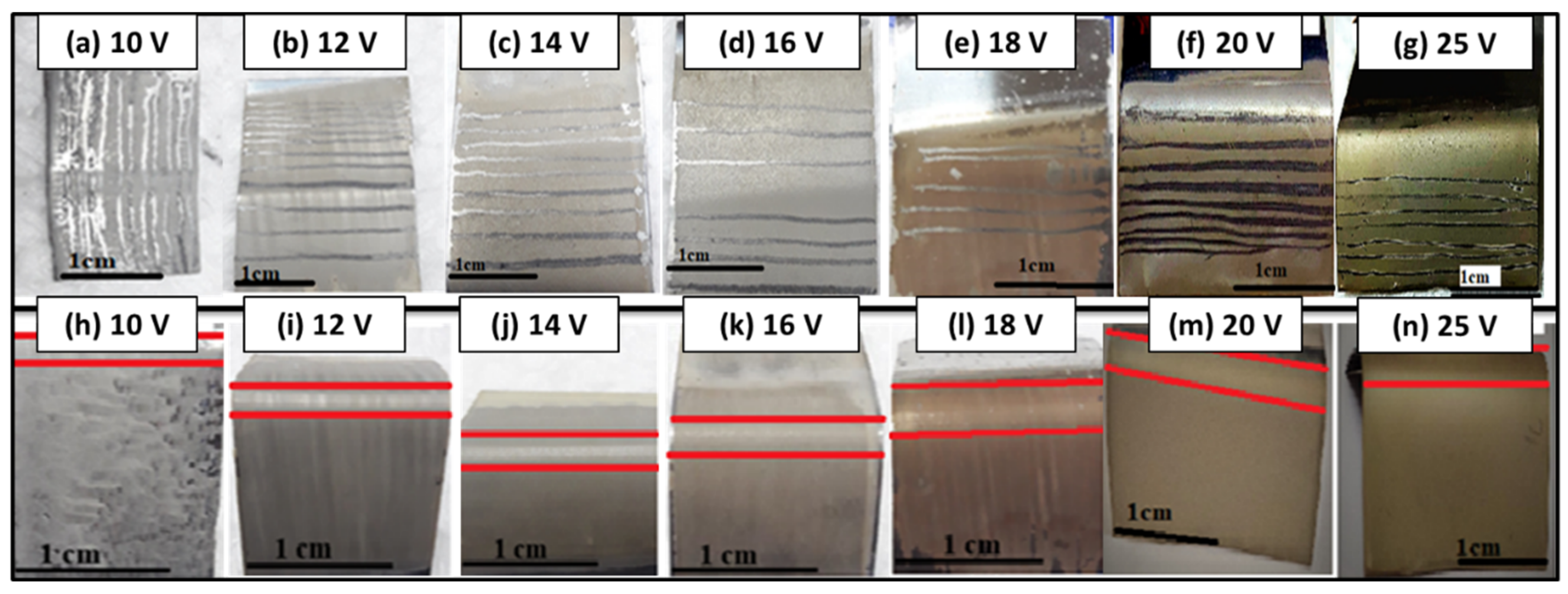 Bioengineering 09 00367 g004