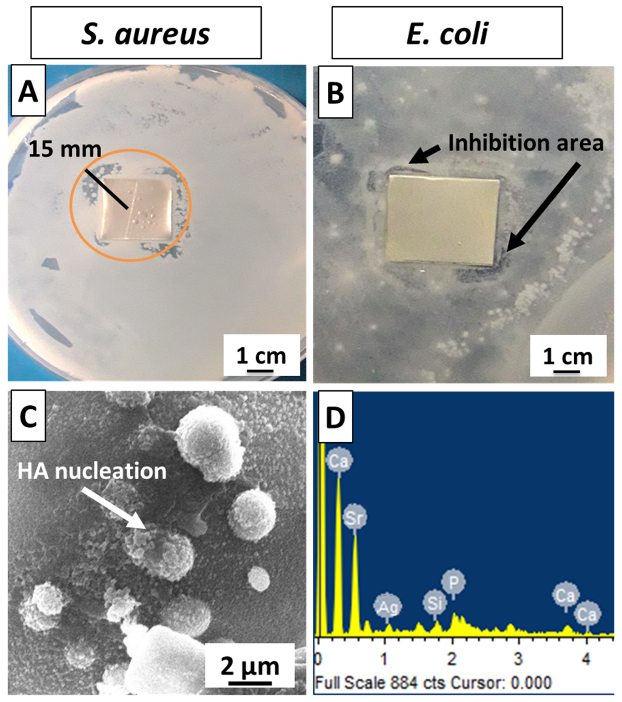 Bioengineering 09 00367 g008