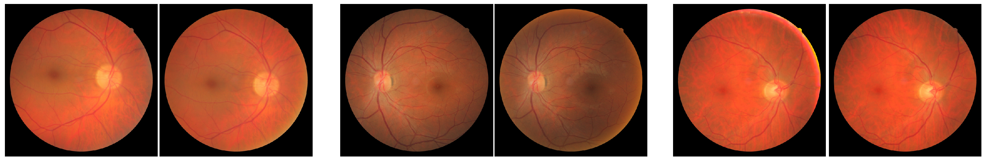 Bioengineering 09 00369 g004 550