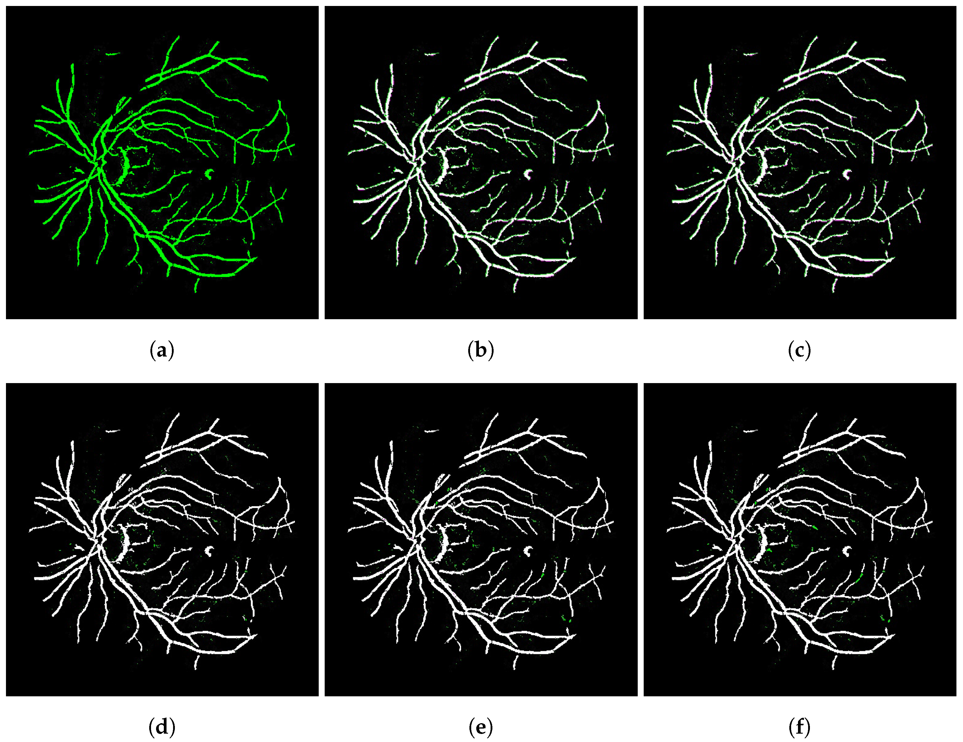 Bioengineering 09 00369 g005 550