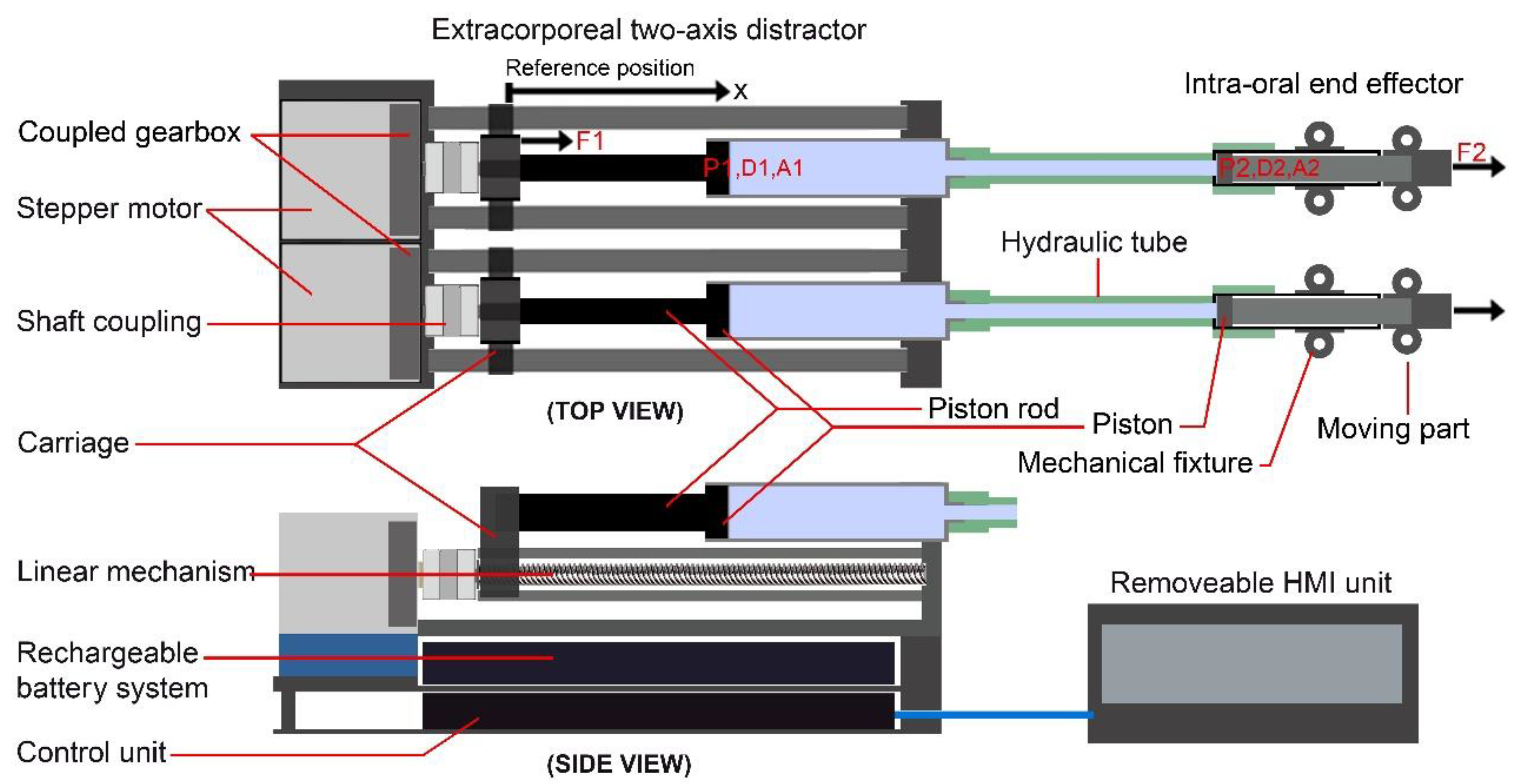 Bioengineering 09 00371 g006 Bioengineering 09 00371 g006