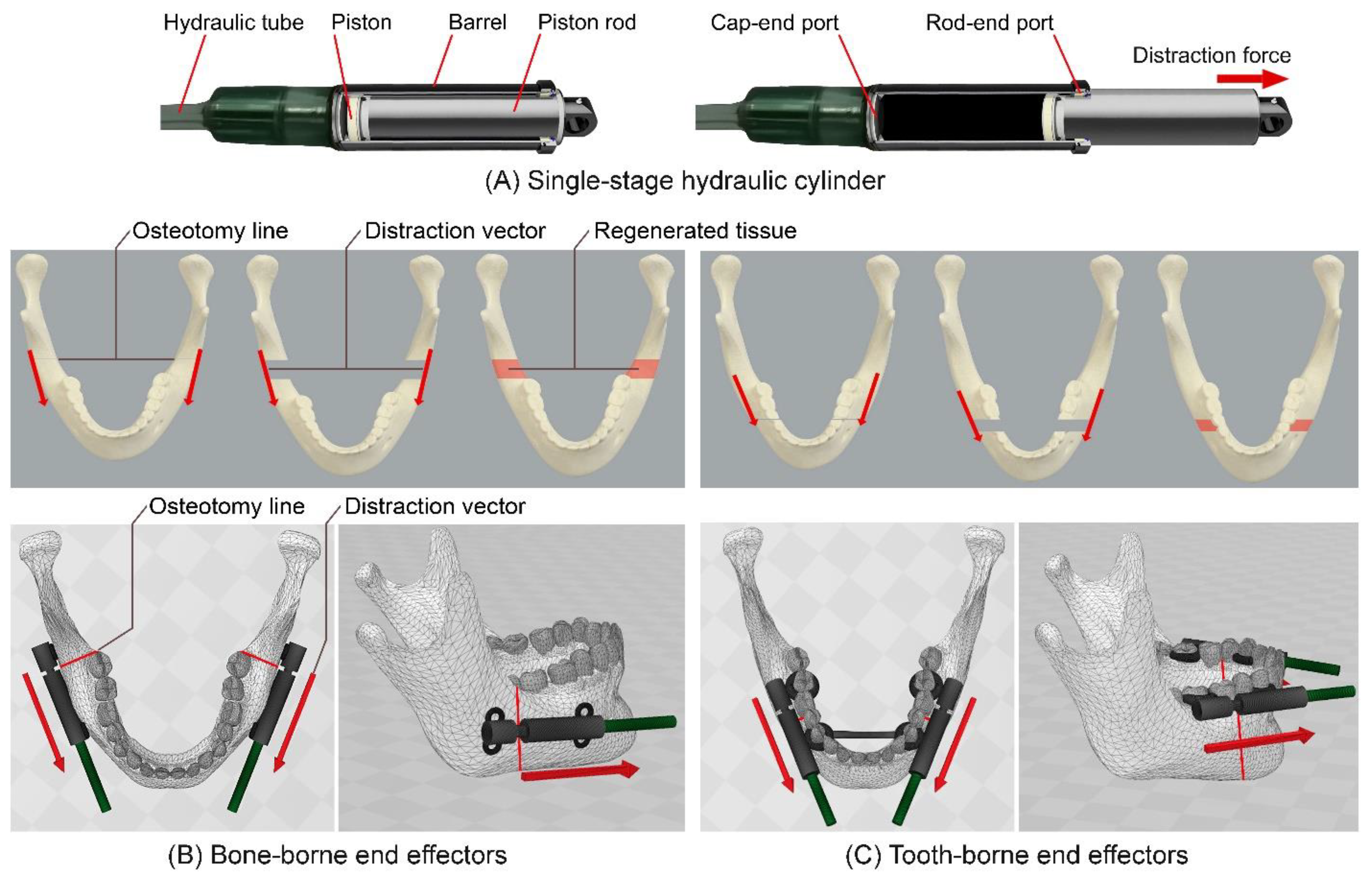 Bioengineering 09 00371 g007 Bioengineering 09 00371 g007