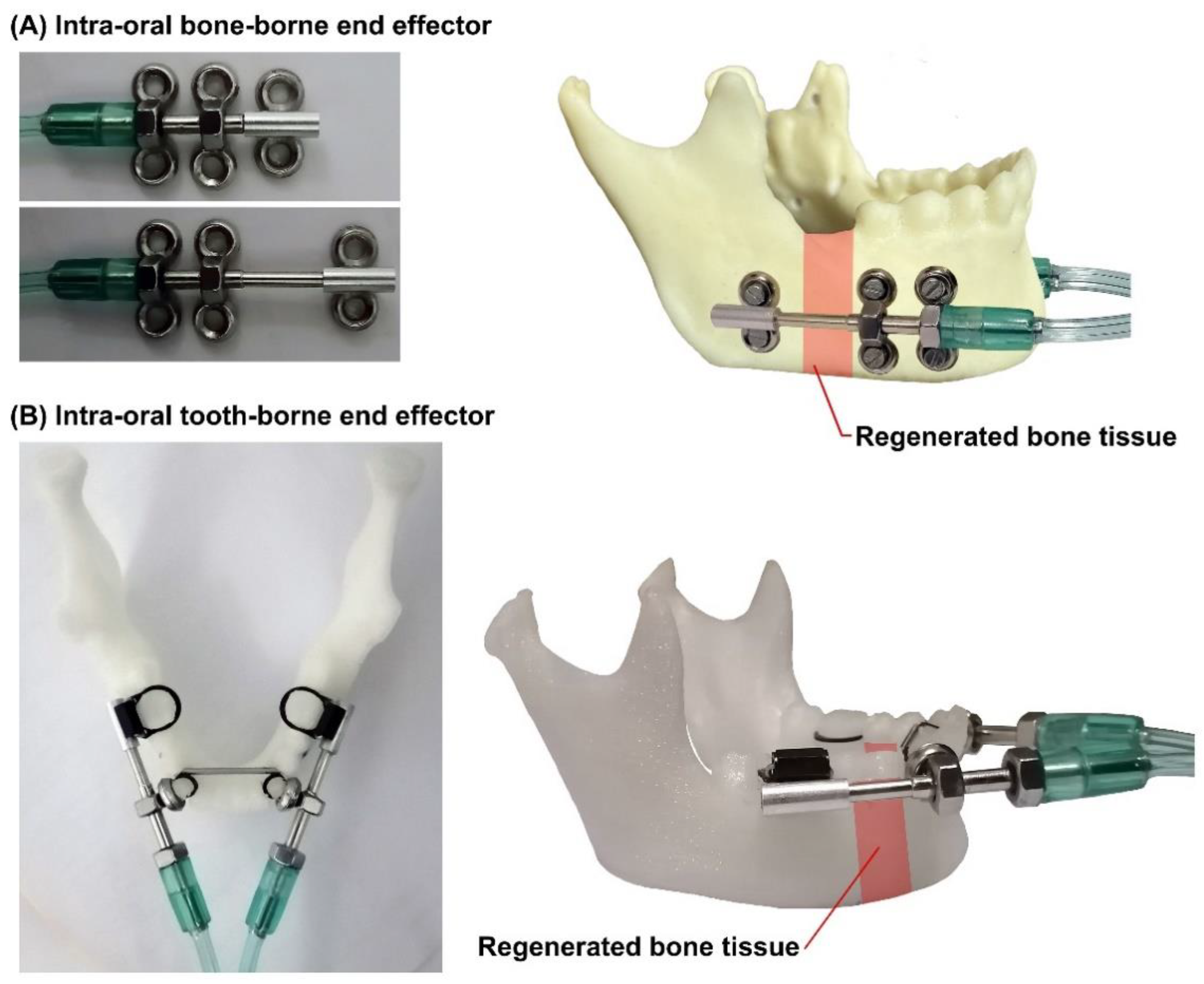 Bioengineering 09 00371 g013 Bioengineering 09 00371 g013