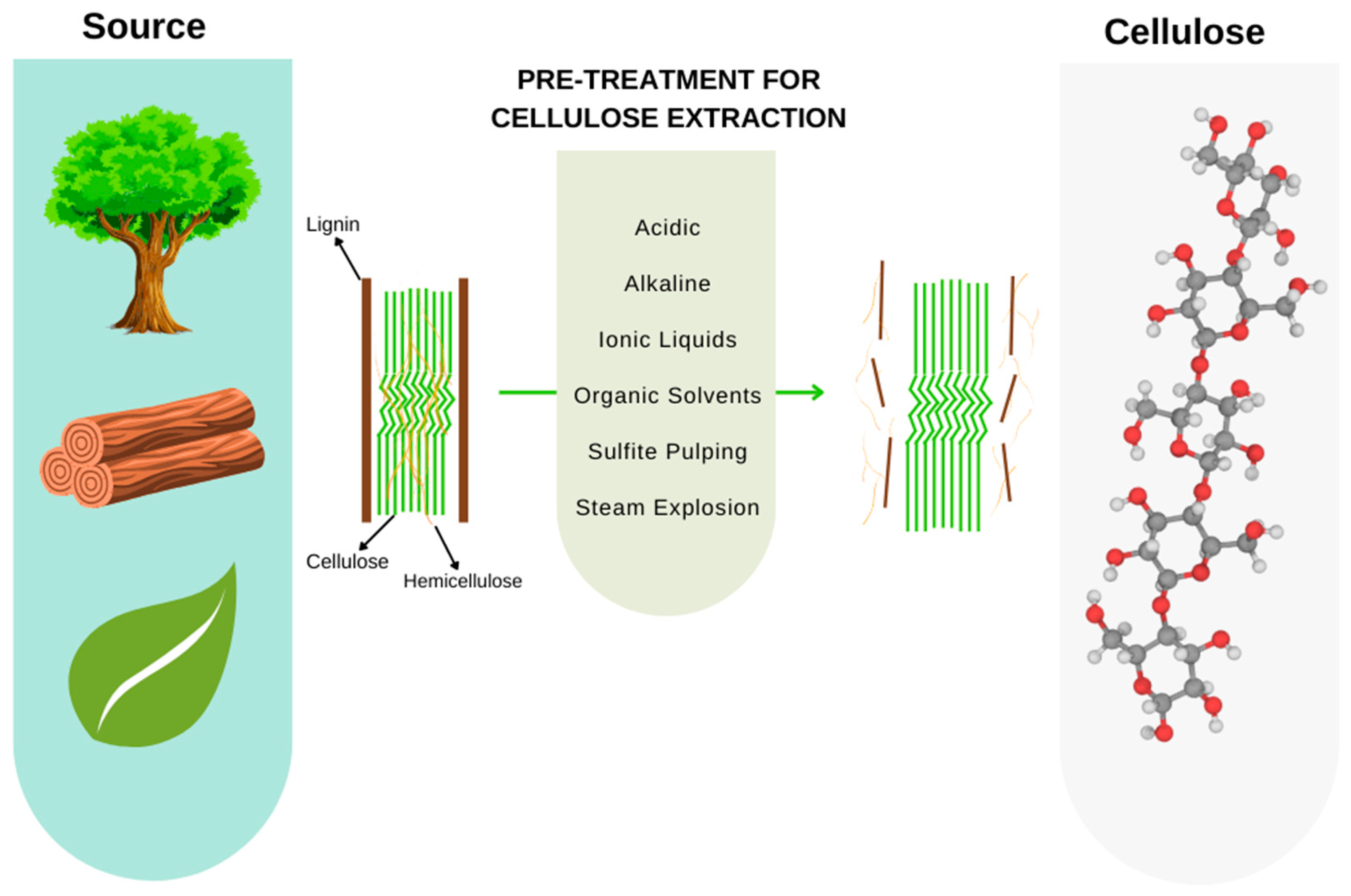 Bioengineering 09 00376 g006 Bioengineering 09 00376 g006