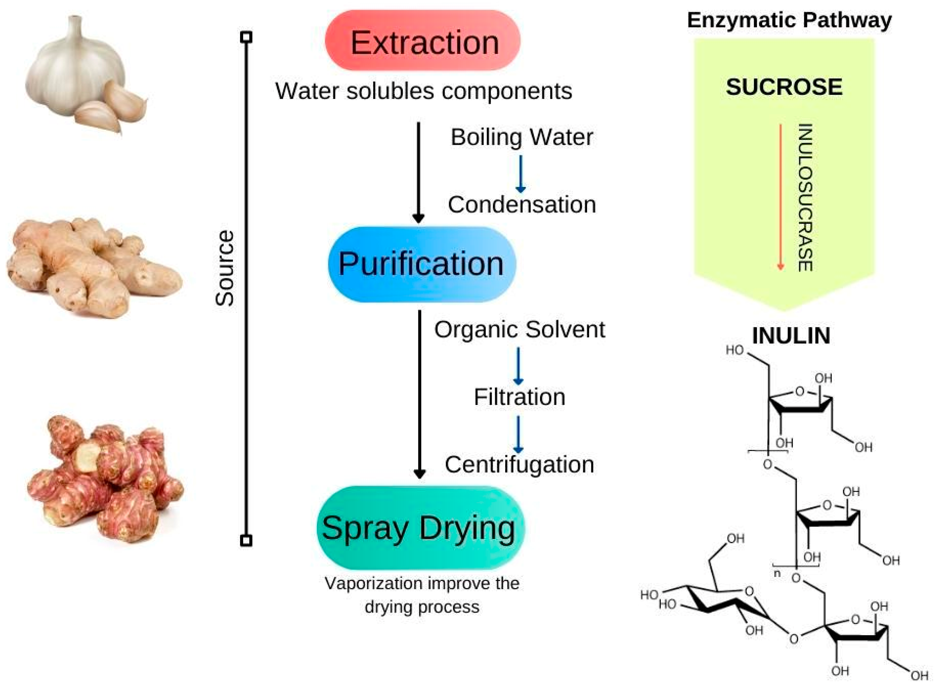 Bioengineering 09 00376 g009 Bioengineering 09 00376 g009
