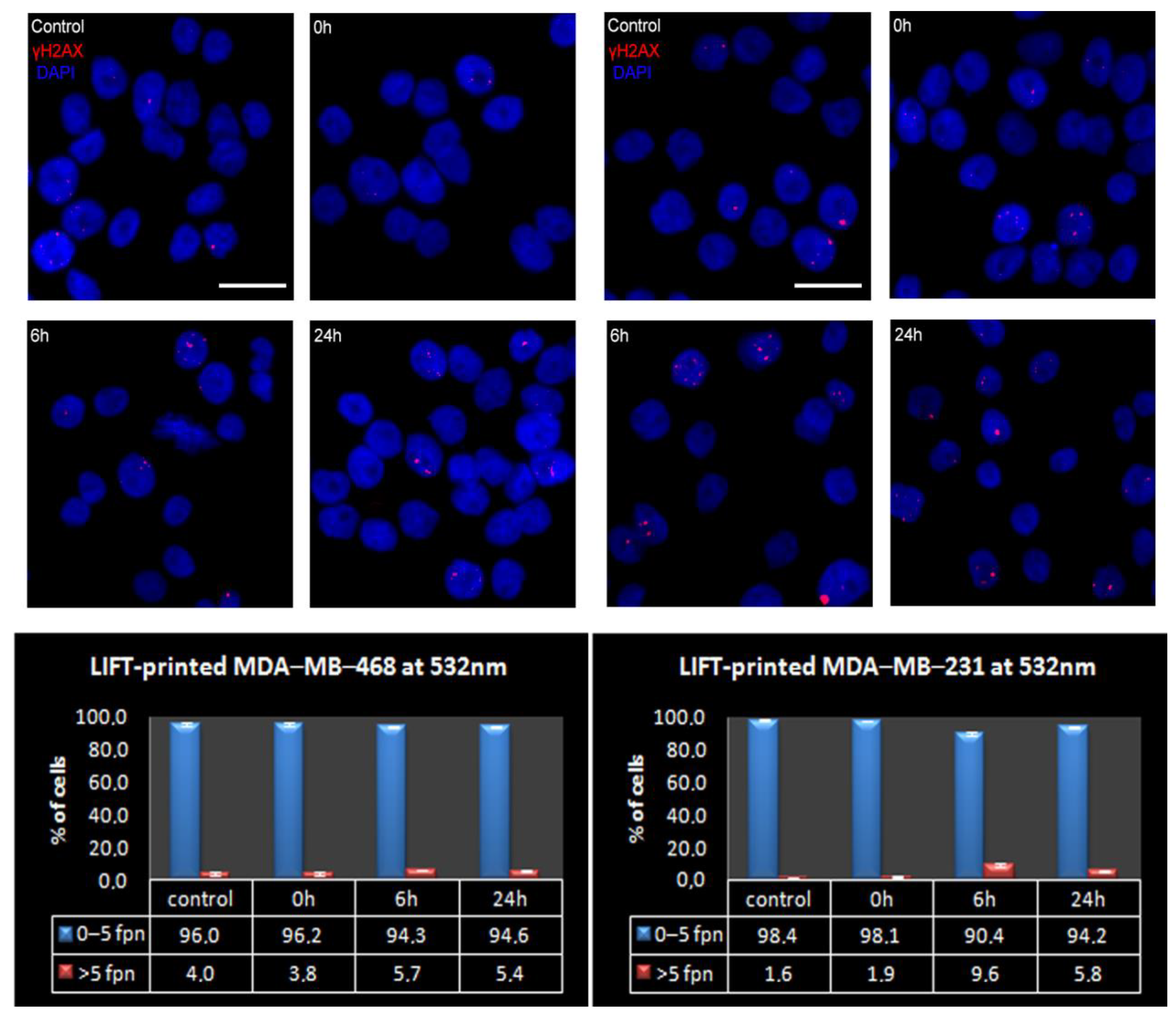 Bioengineering 09 00378 g008