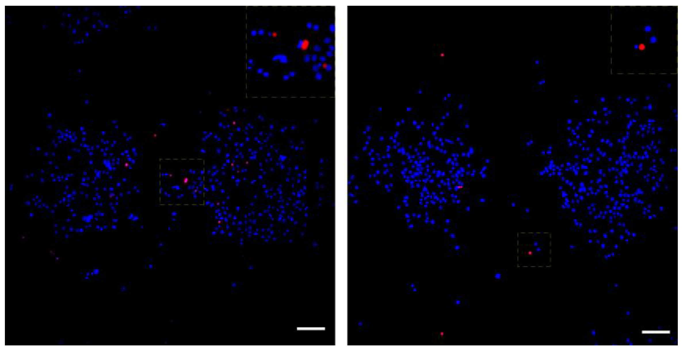 Bioengineering 09 00378 g009