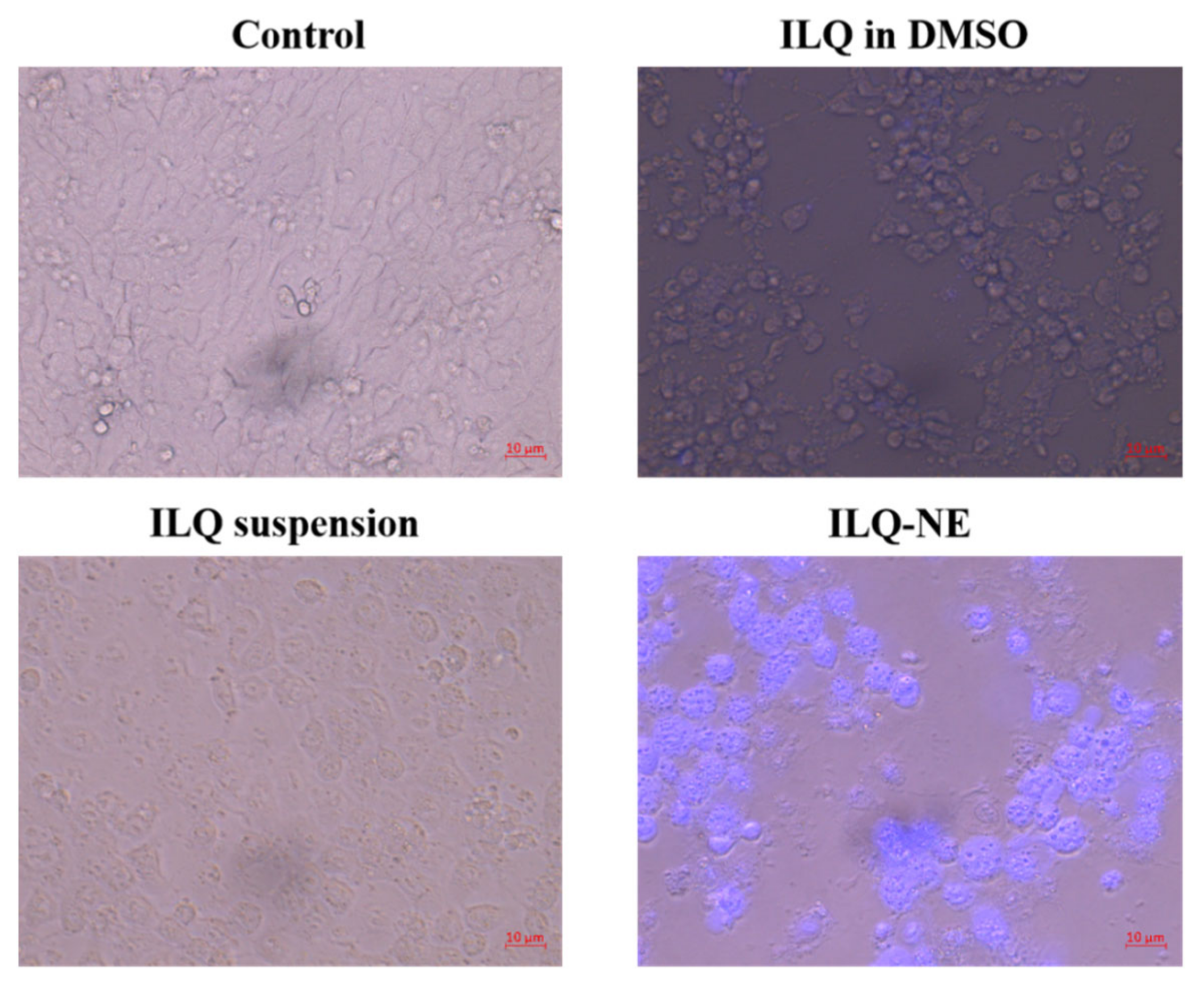 Bioengineering 09 00382 g016