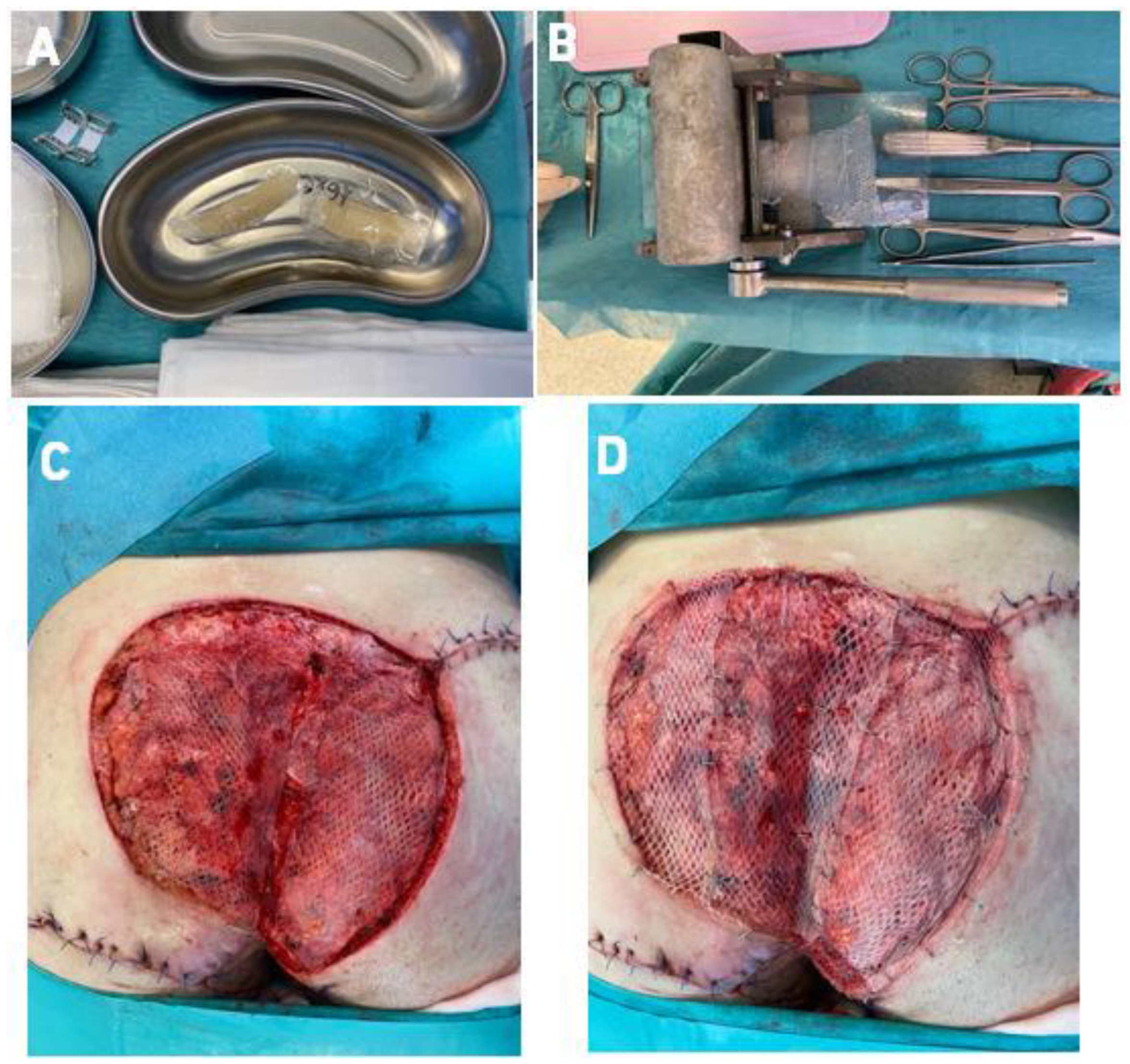 Bioengineering 09 00389 g003 550