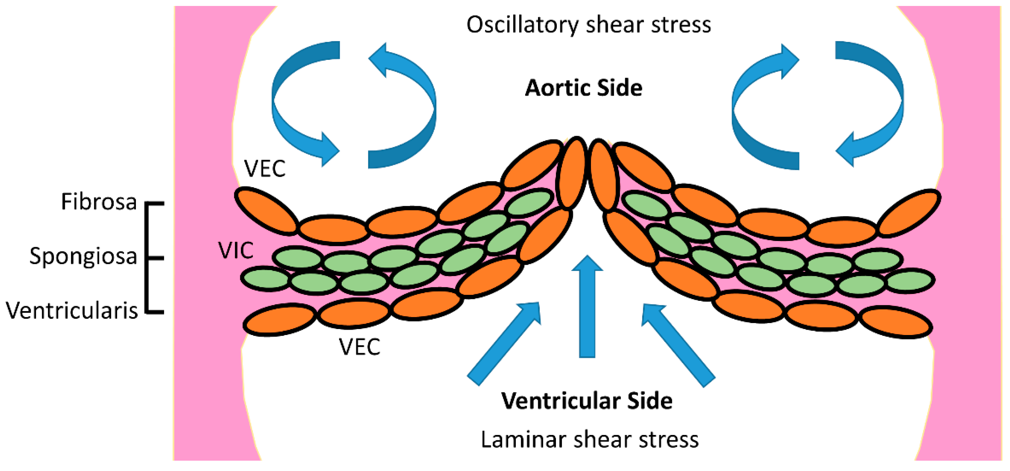 Bioengineering 09 00393 g001