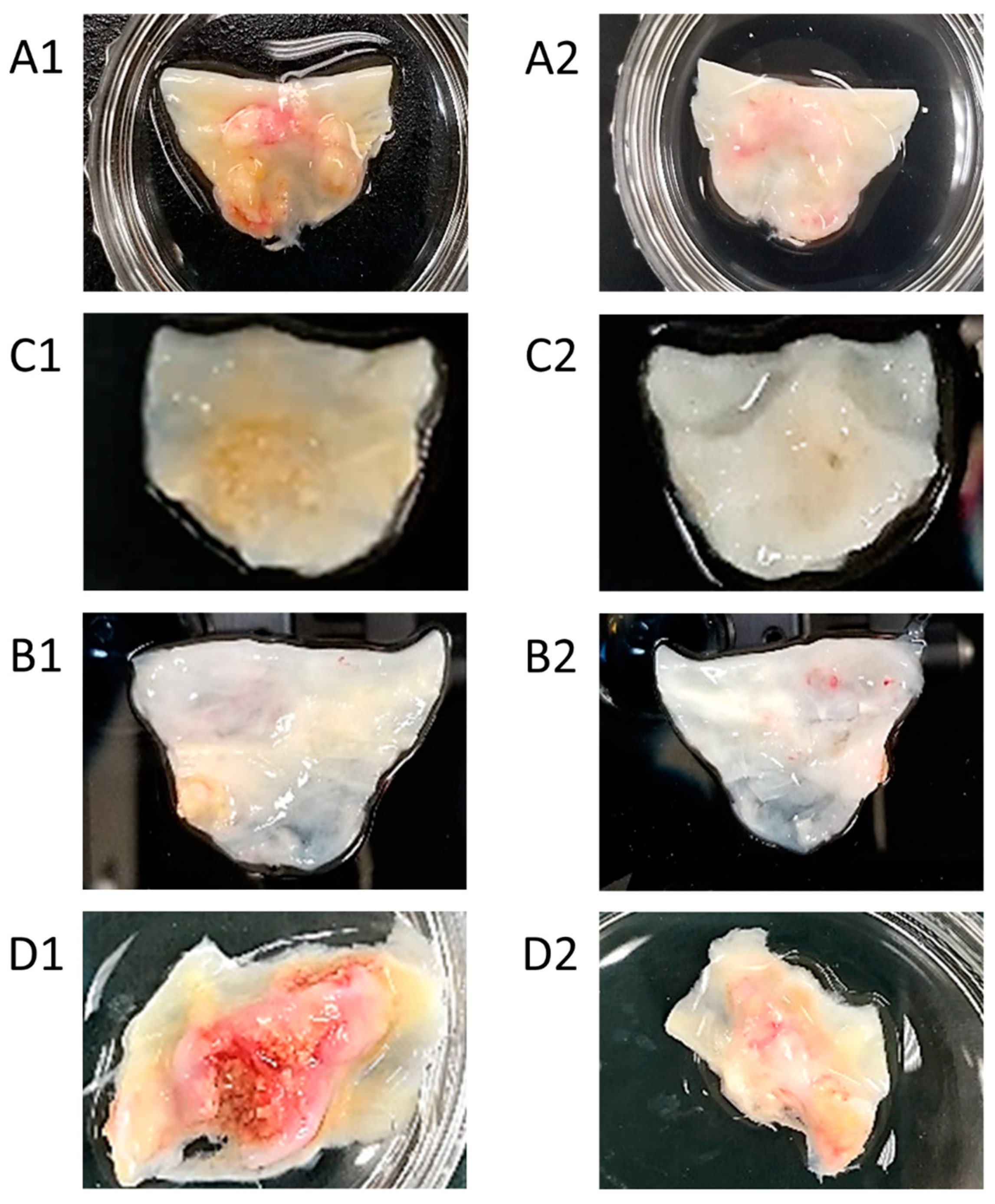 Bioengineering 09 00393 g003