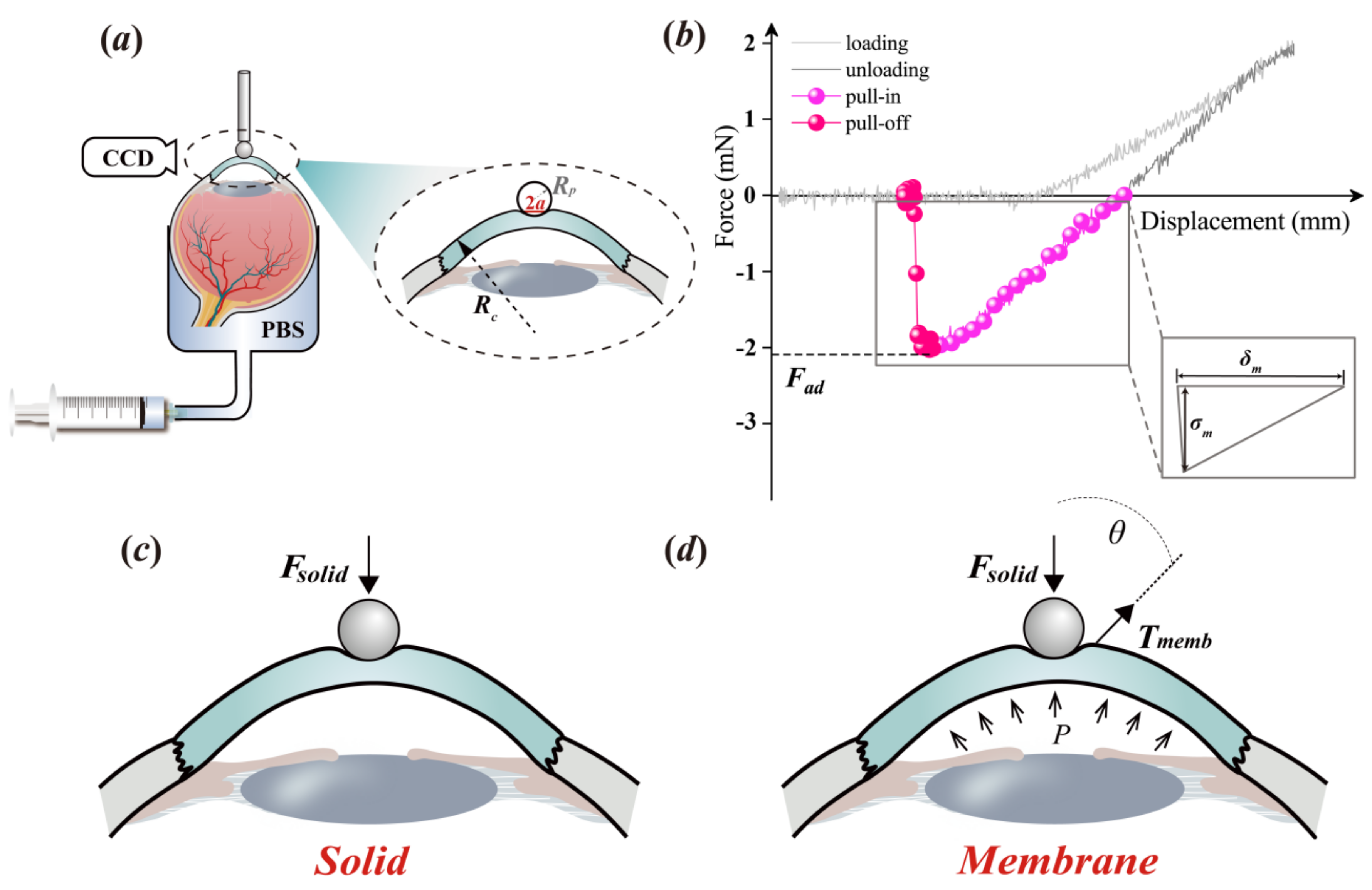 Bioengineering 09 00394 g001