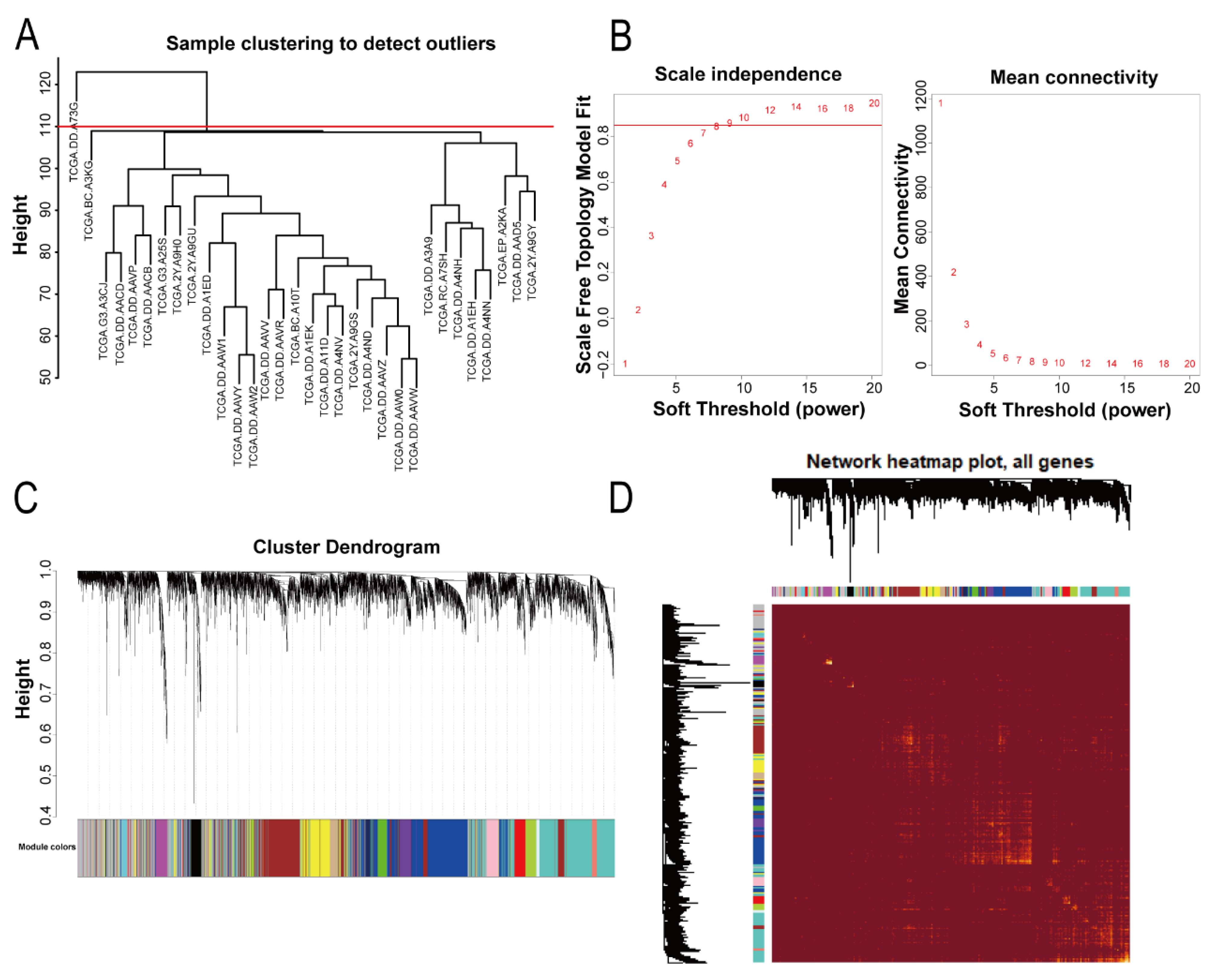 Bioengineering 09 00396 g002 550