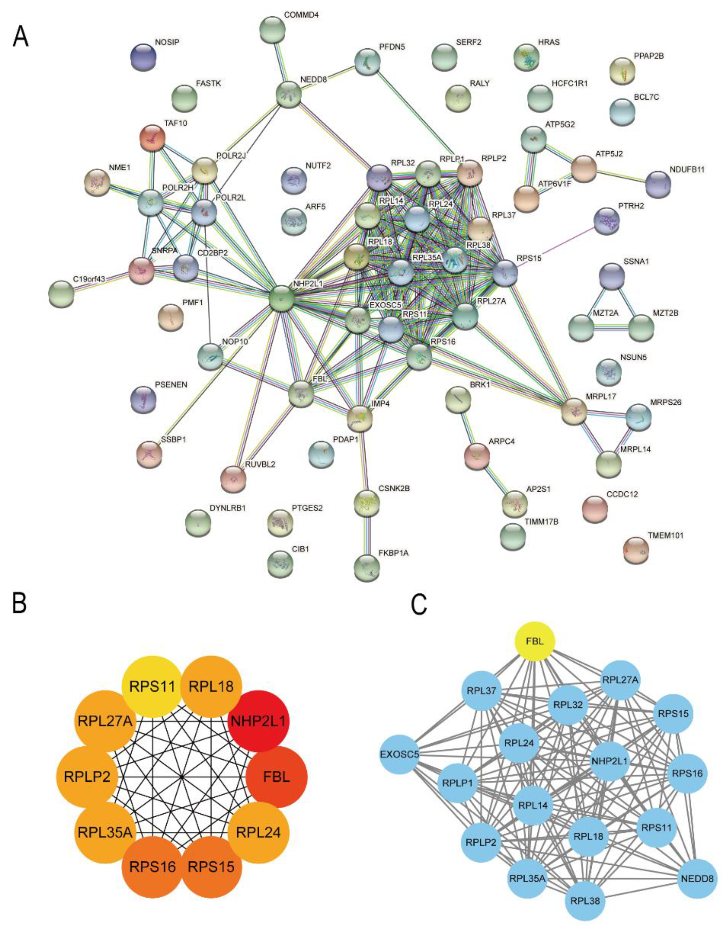 Bioengineering 09 00396 g005 550