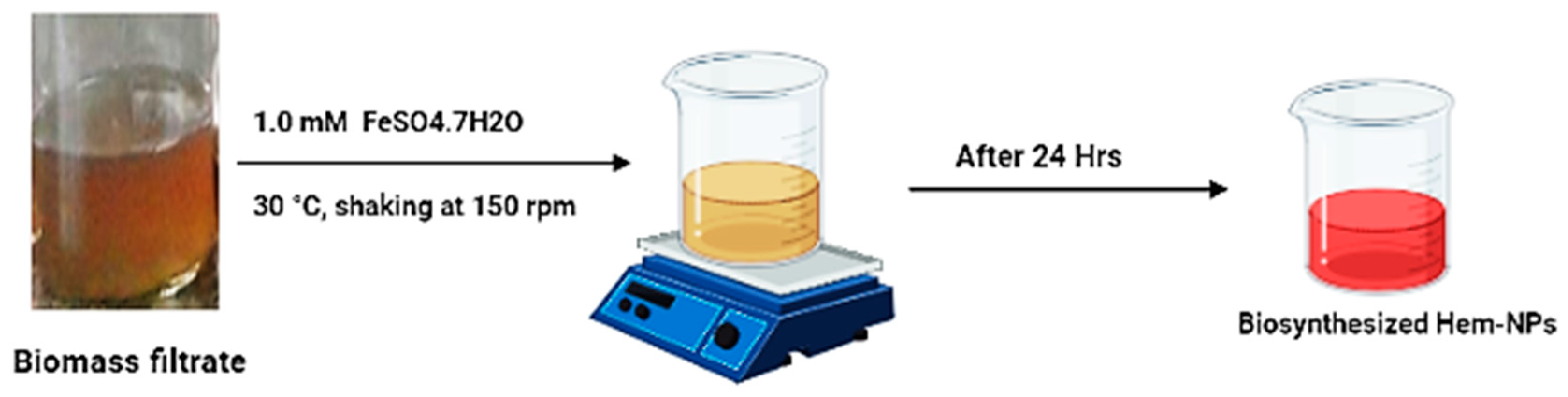 Bioengineering 09 00397 g001
