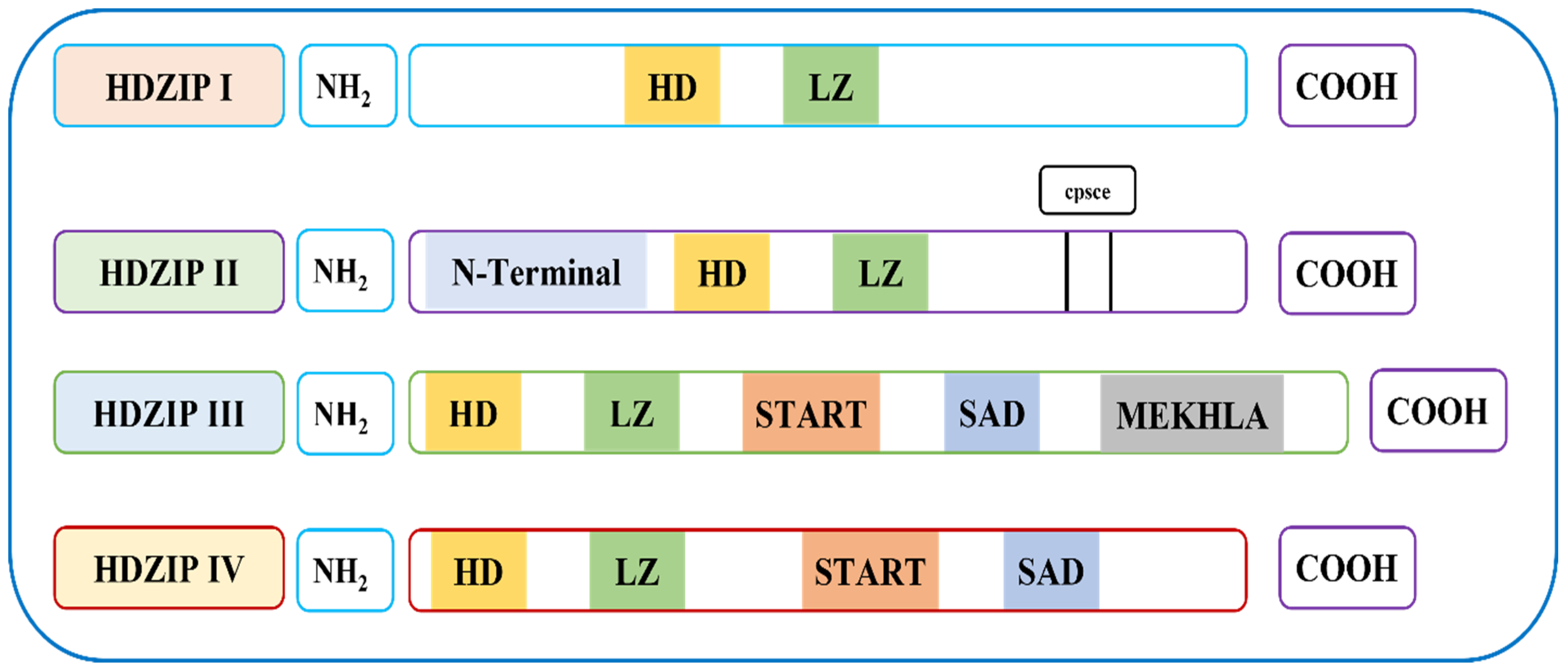 Bioengineering 09 00398 g001 550