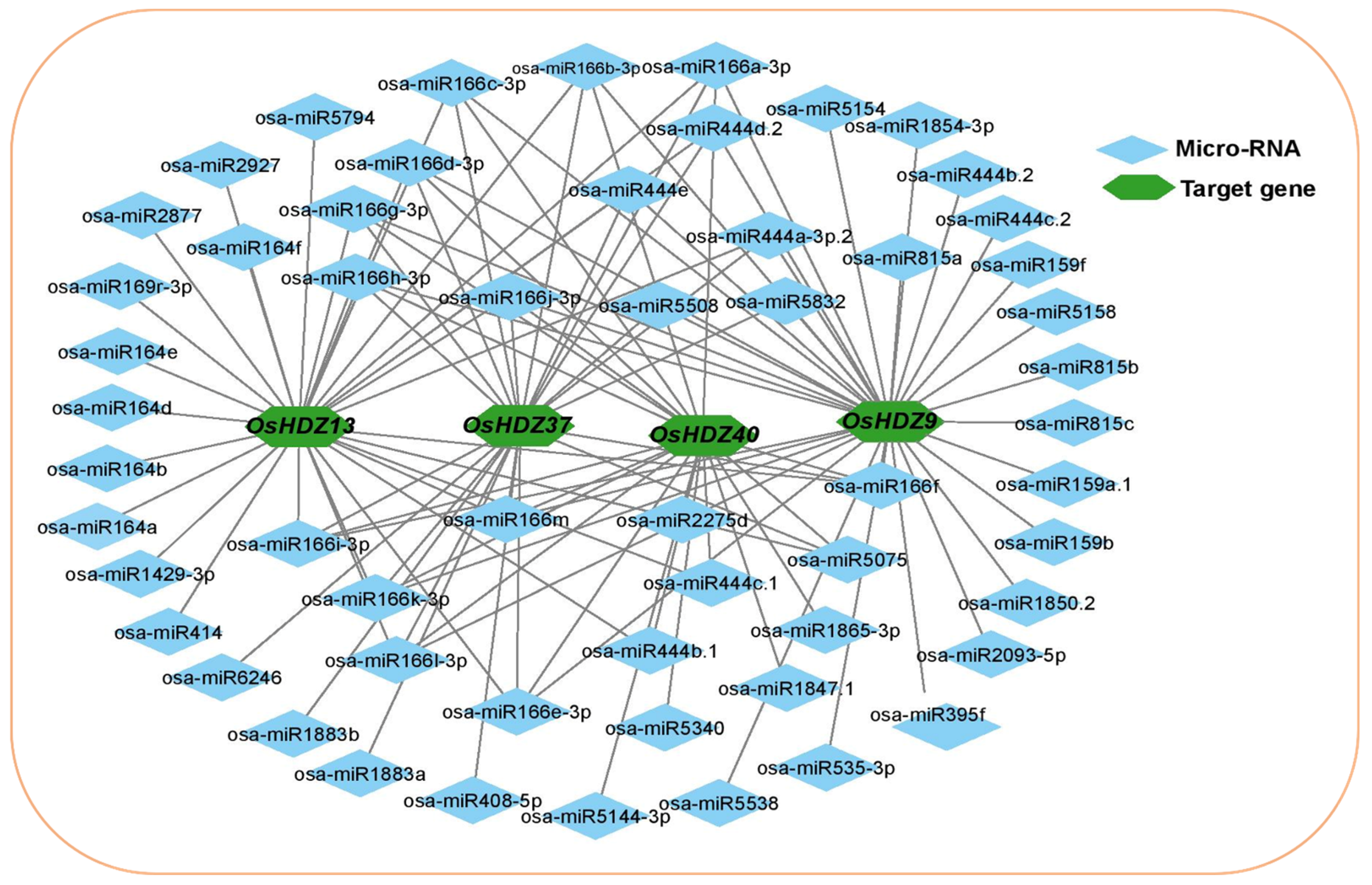 Bioengineering 09 00398 g004 550