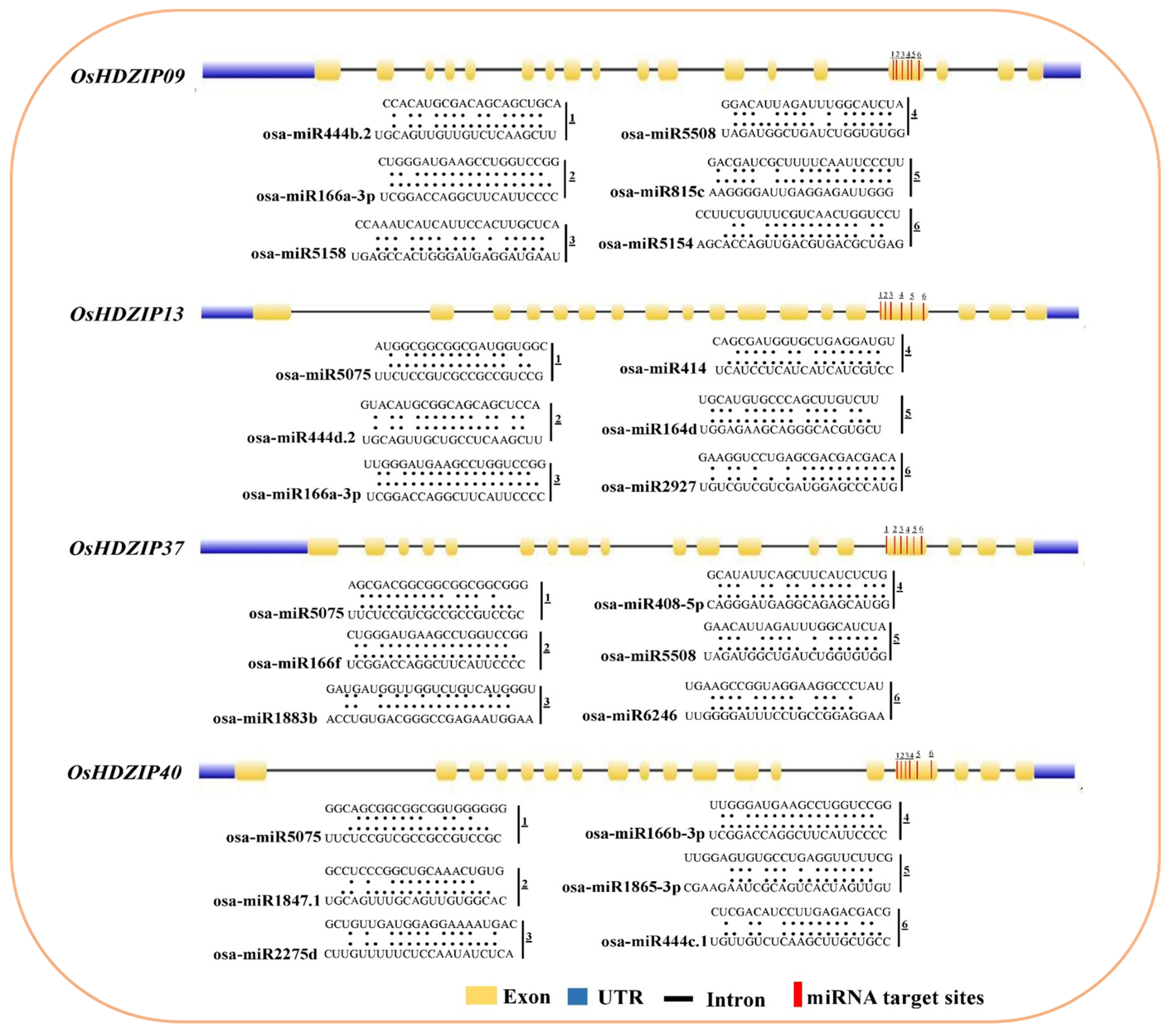 Bioengineering 09 00398 g005 550