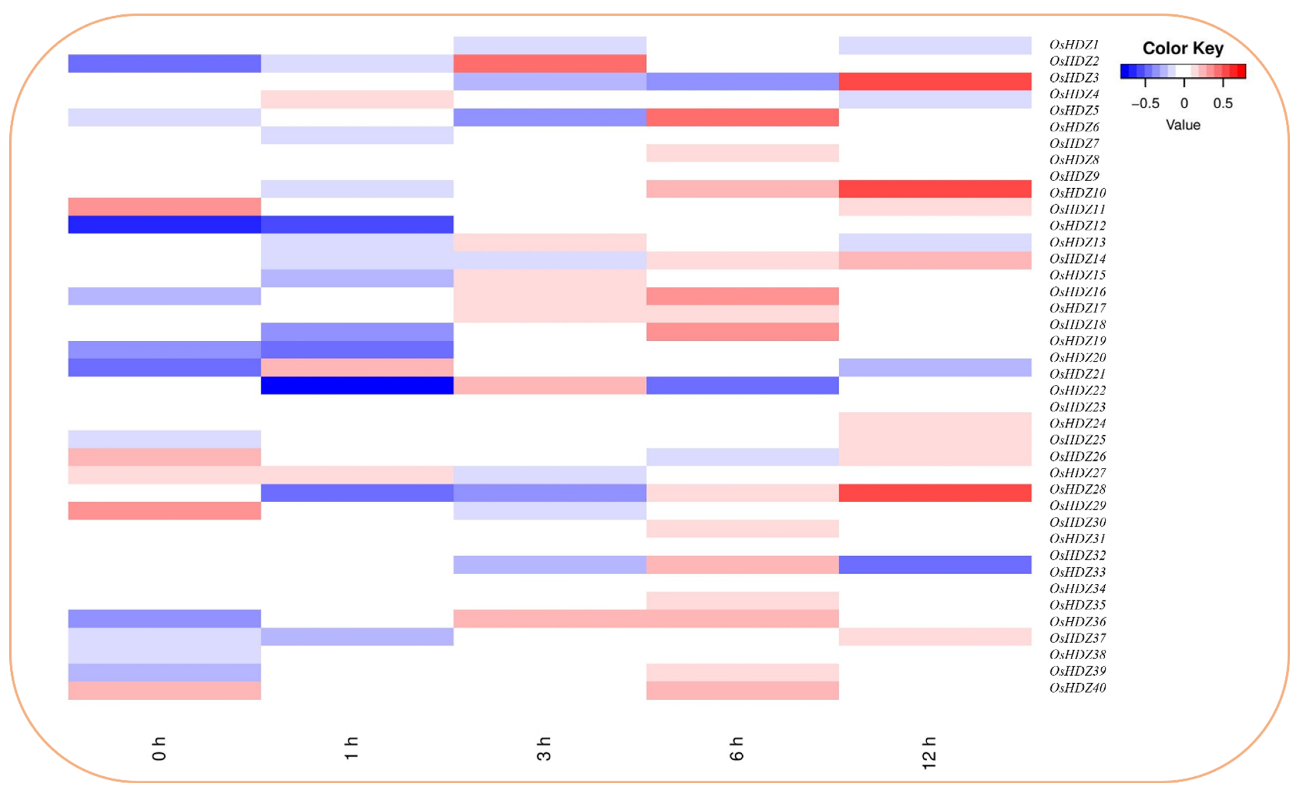 Bioengineering 09 00398 g011 550