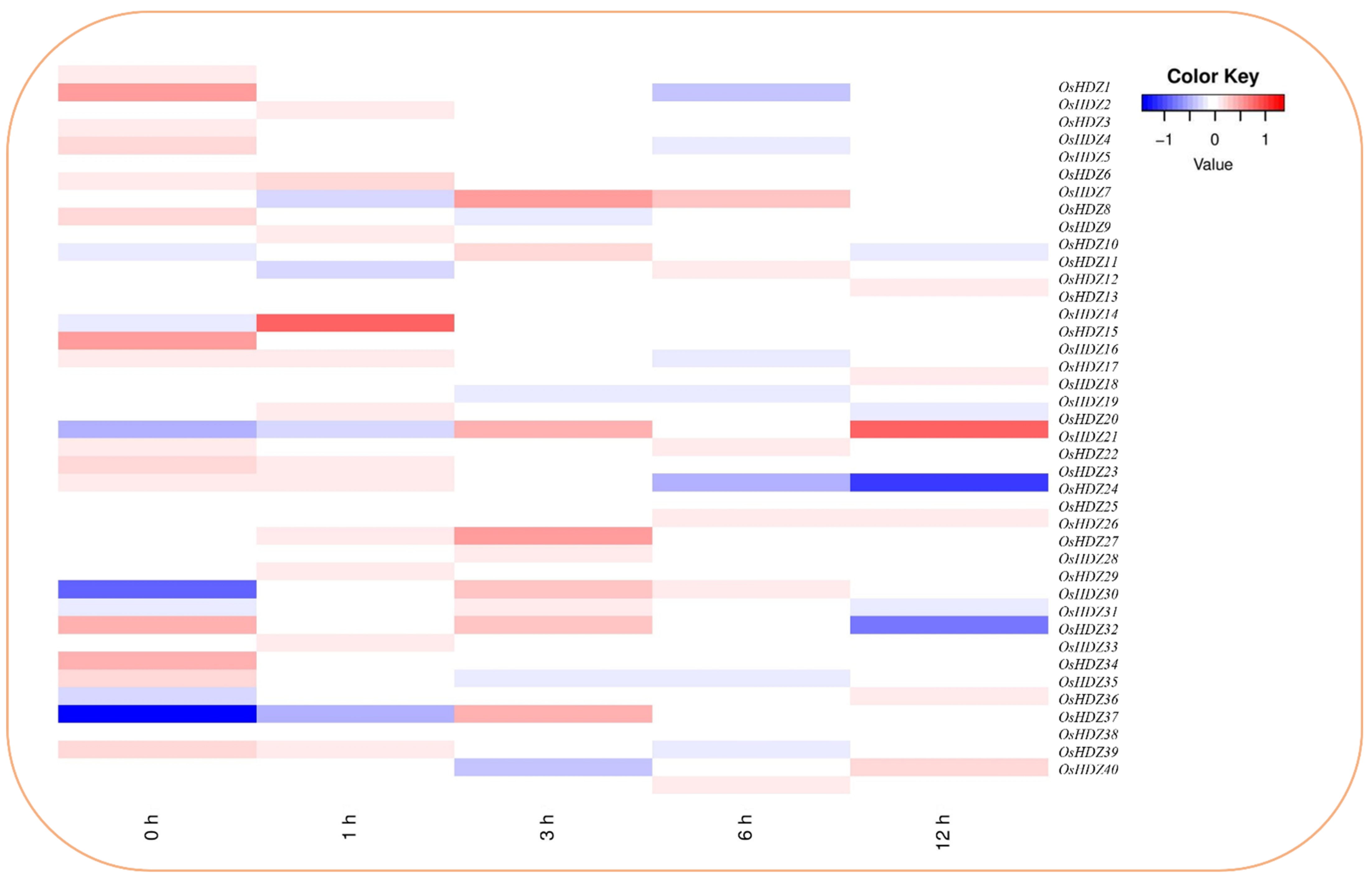 Bioengineering 09 00398 g012 550