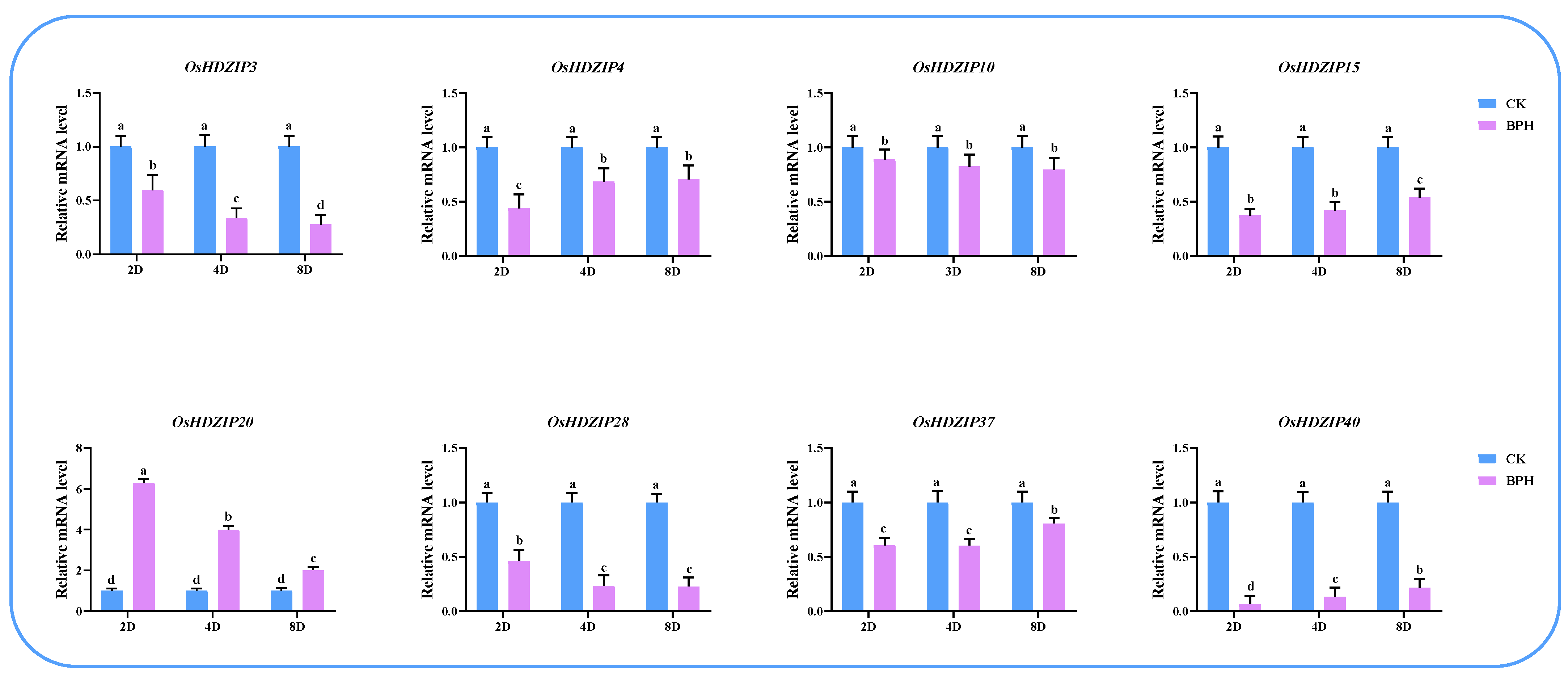 Bioengineering 09 00398 g013 550