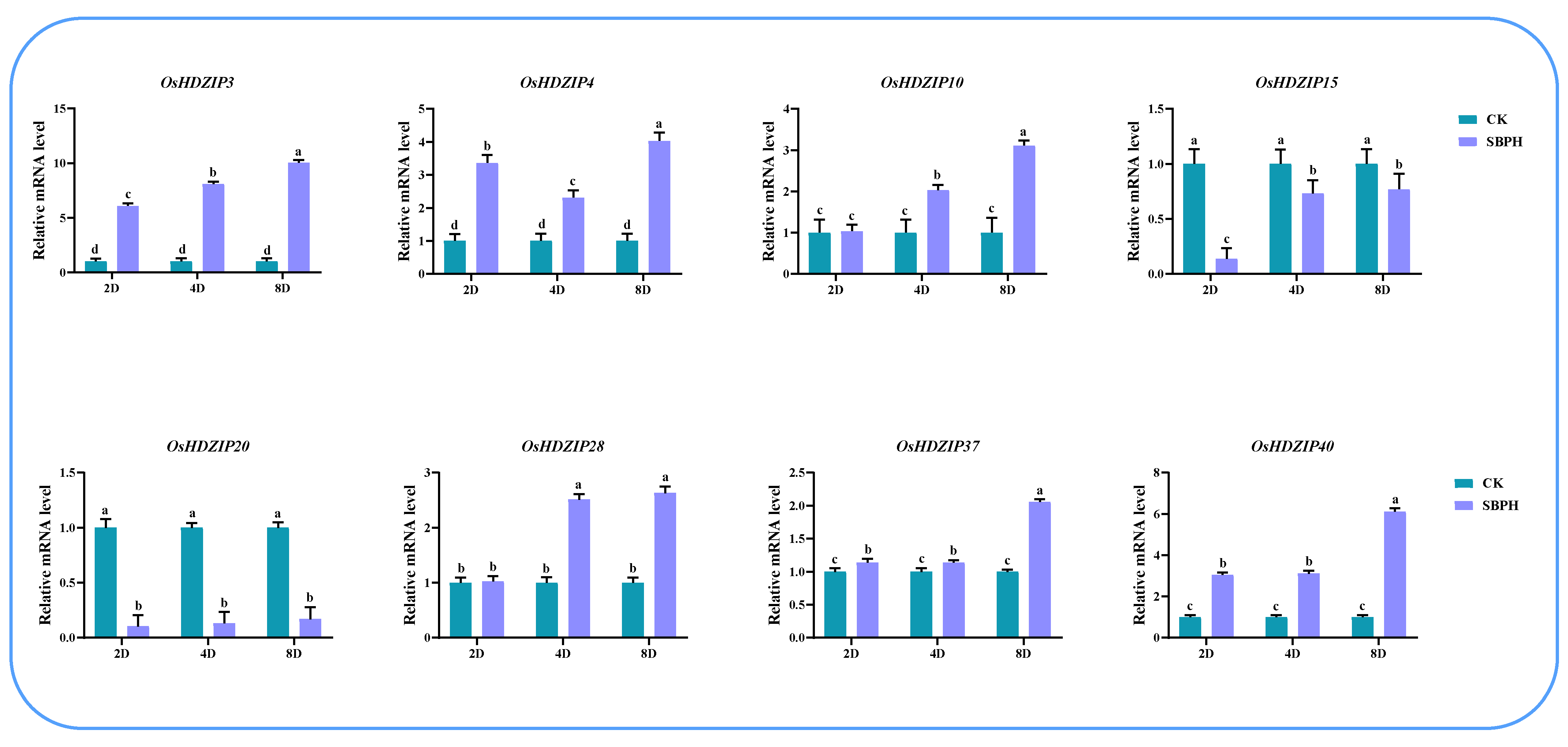Bioengineering 09 00398 g014 550