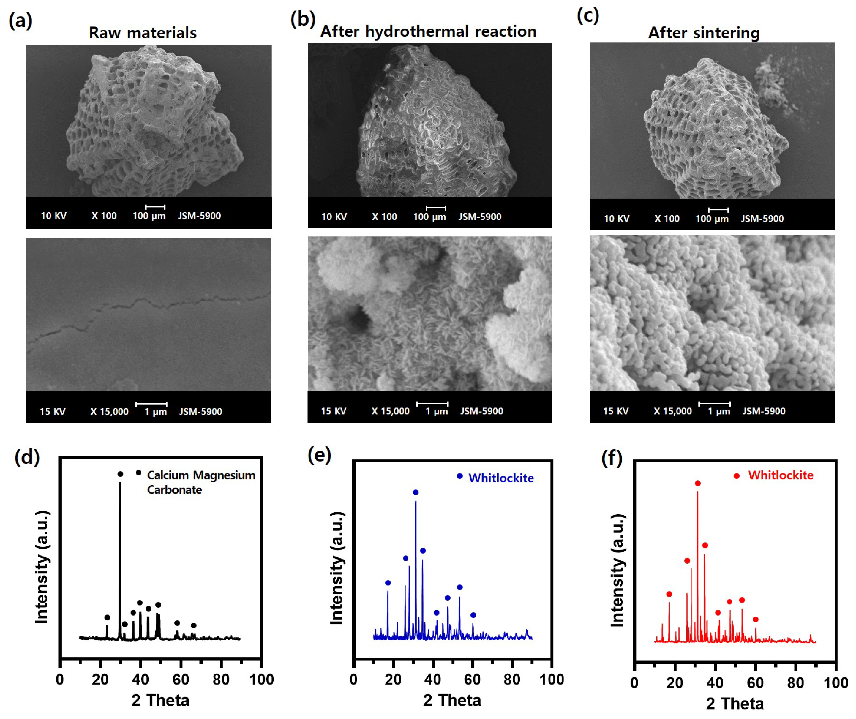 Bioengineering 09 00399 g001