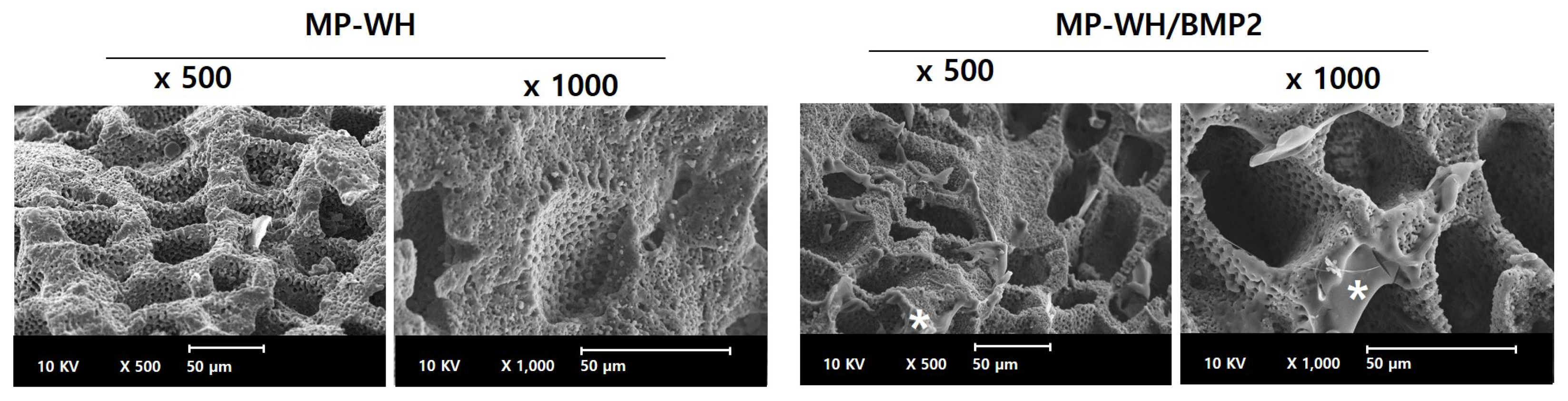 Bioengineering 09 00399 g002