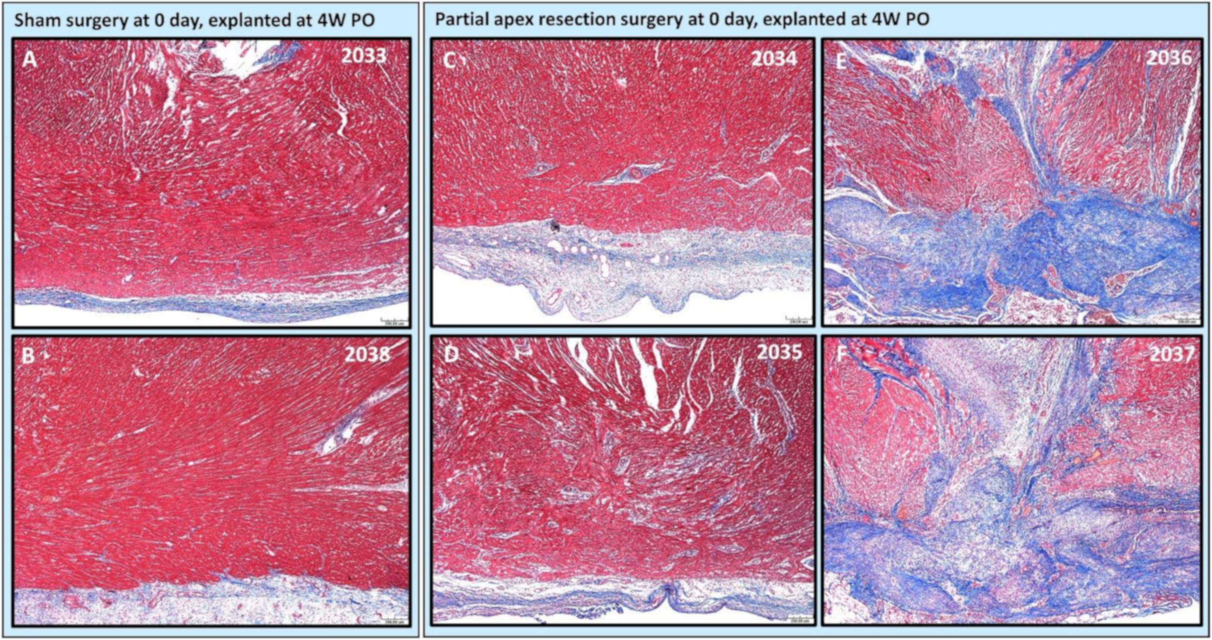 Bioengineering 09 00401 g006 Bioengineering 09 00401 g006