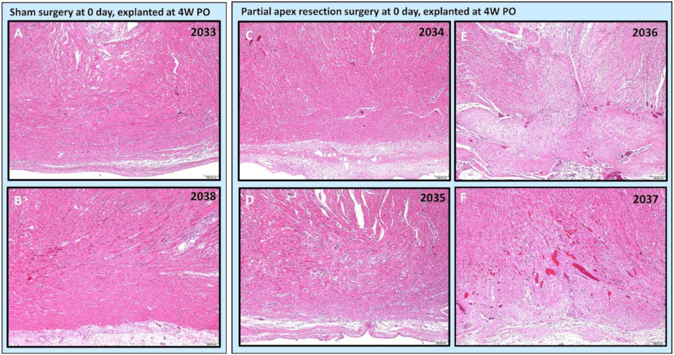 Bioengineering 09 00401 g007 Bioengineering 09 00401 g007