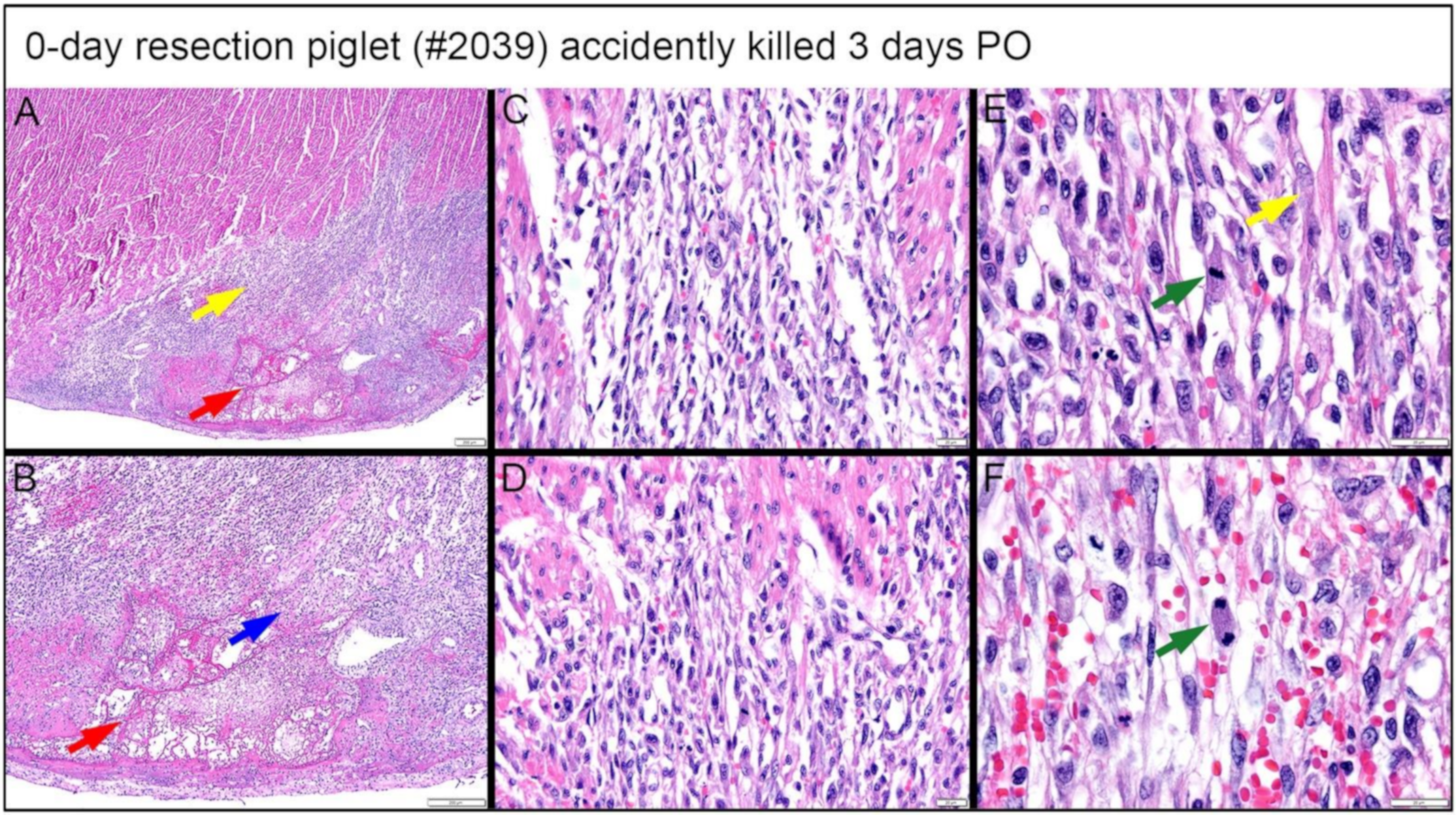 Bioengineering 09 00401 g016 Bioengineering 09 00401 g016