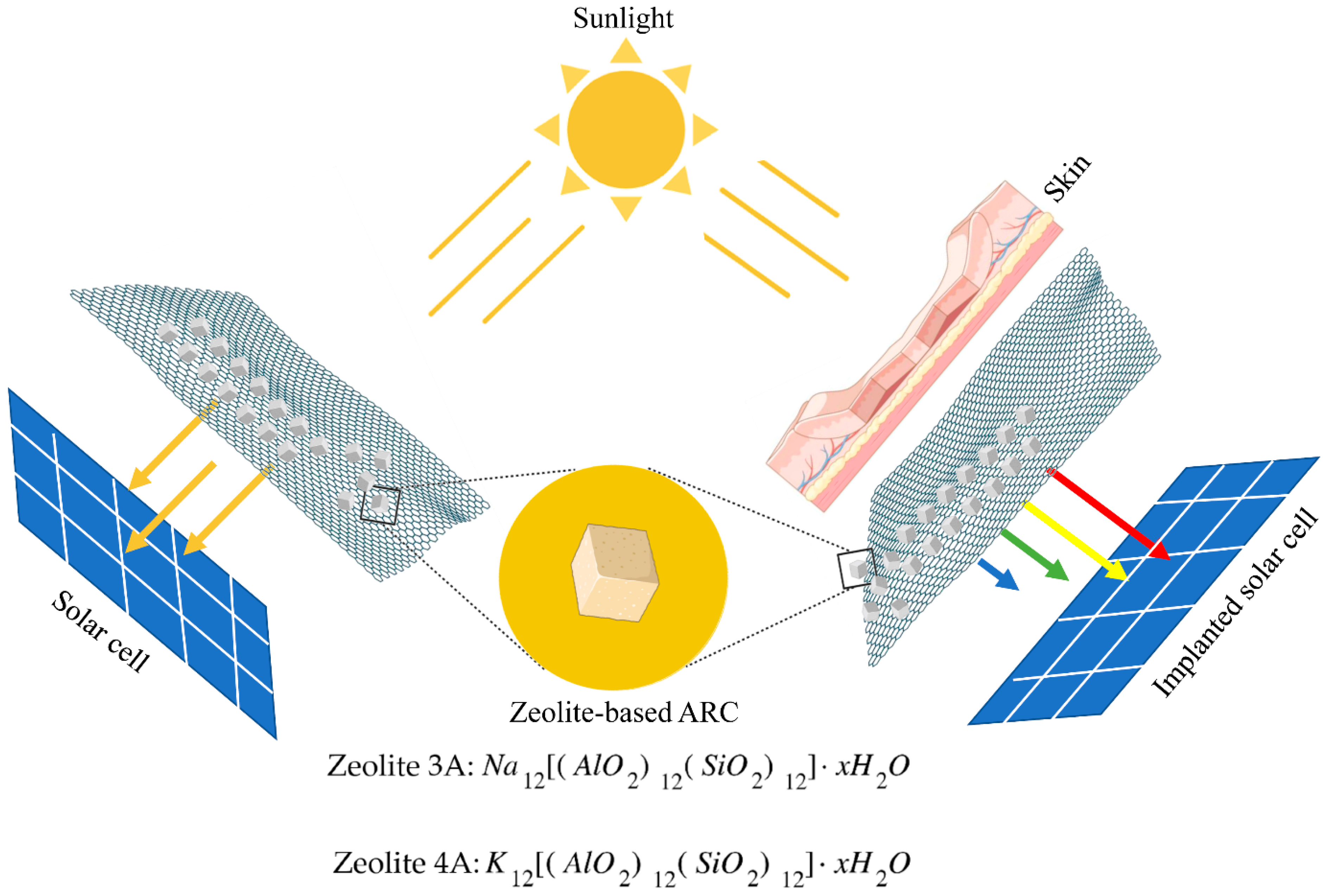 Bioengineering 09 00404 g001