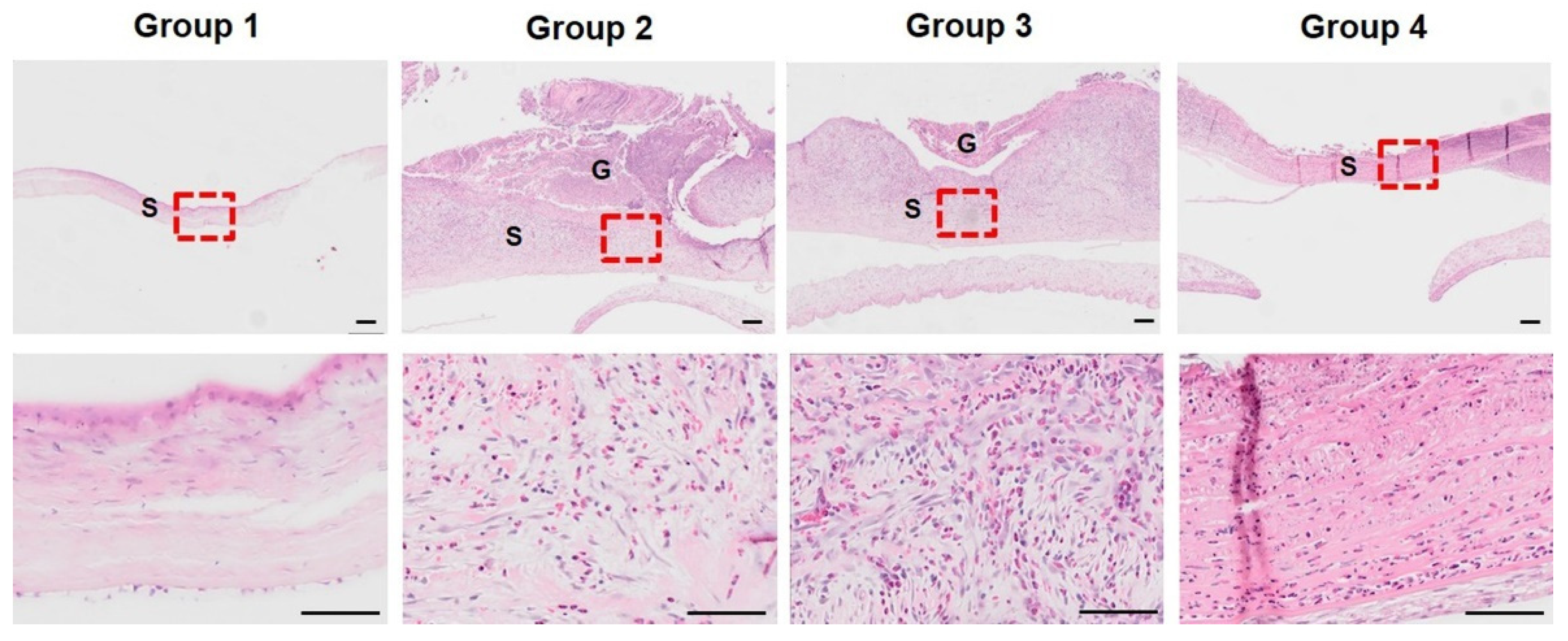 Bioengineering 09 00405 g005