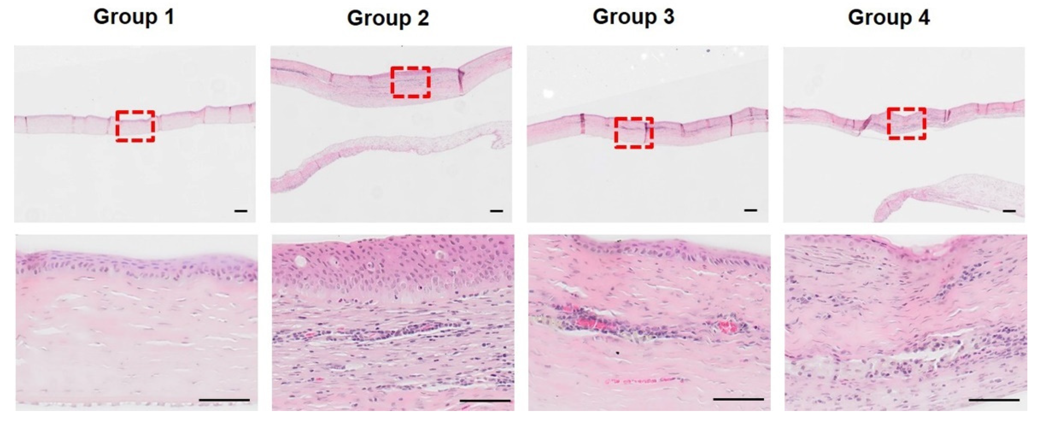 Bioengineering 09 00405 g008