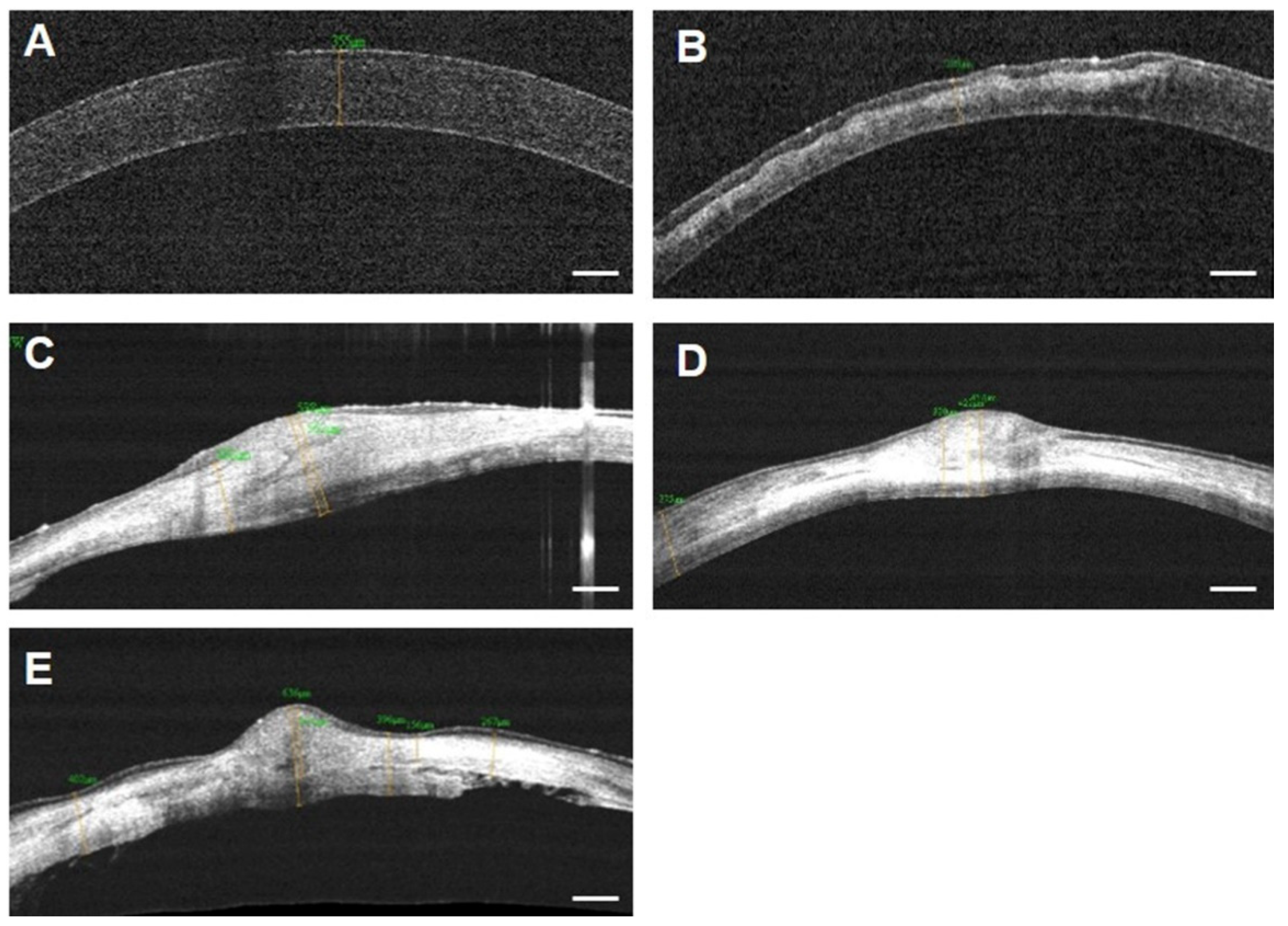Bioengineering 09 00405 g009